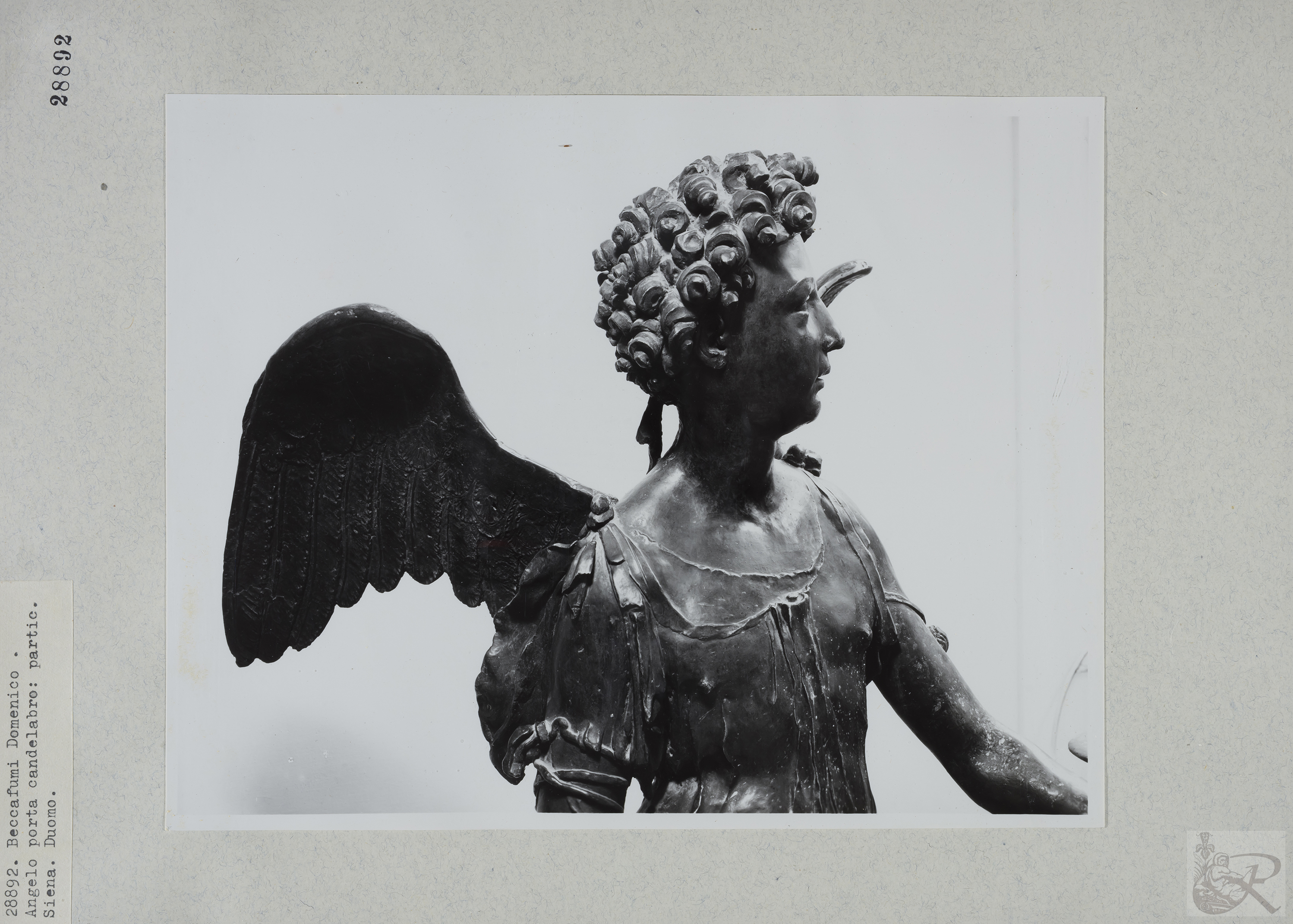 Immagine di anteprima