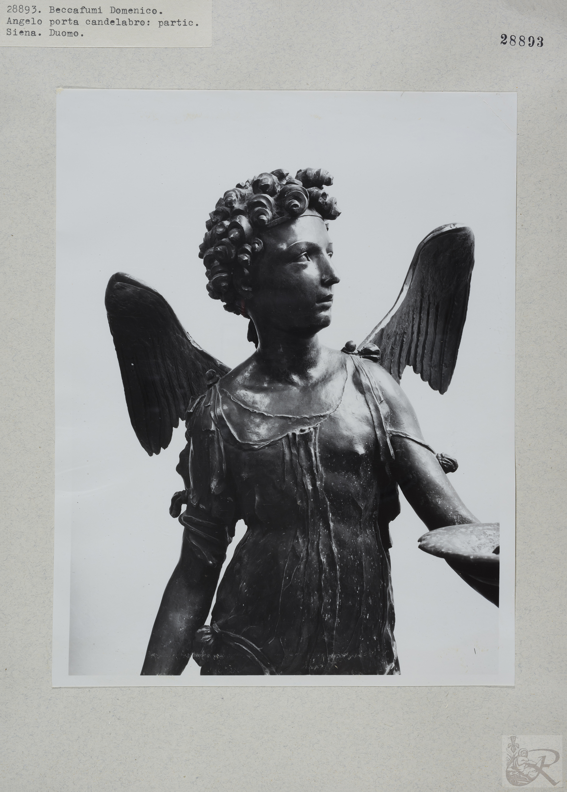 Immagine di anteprima