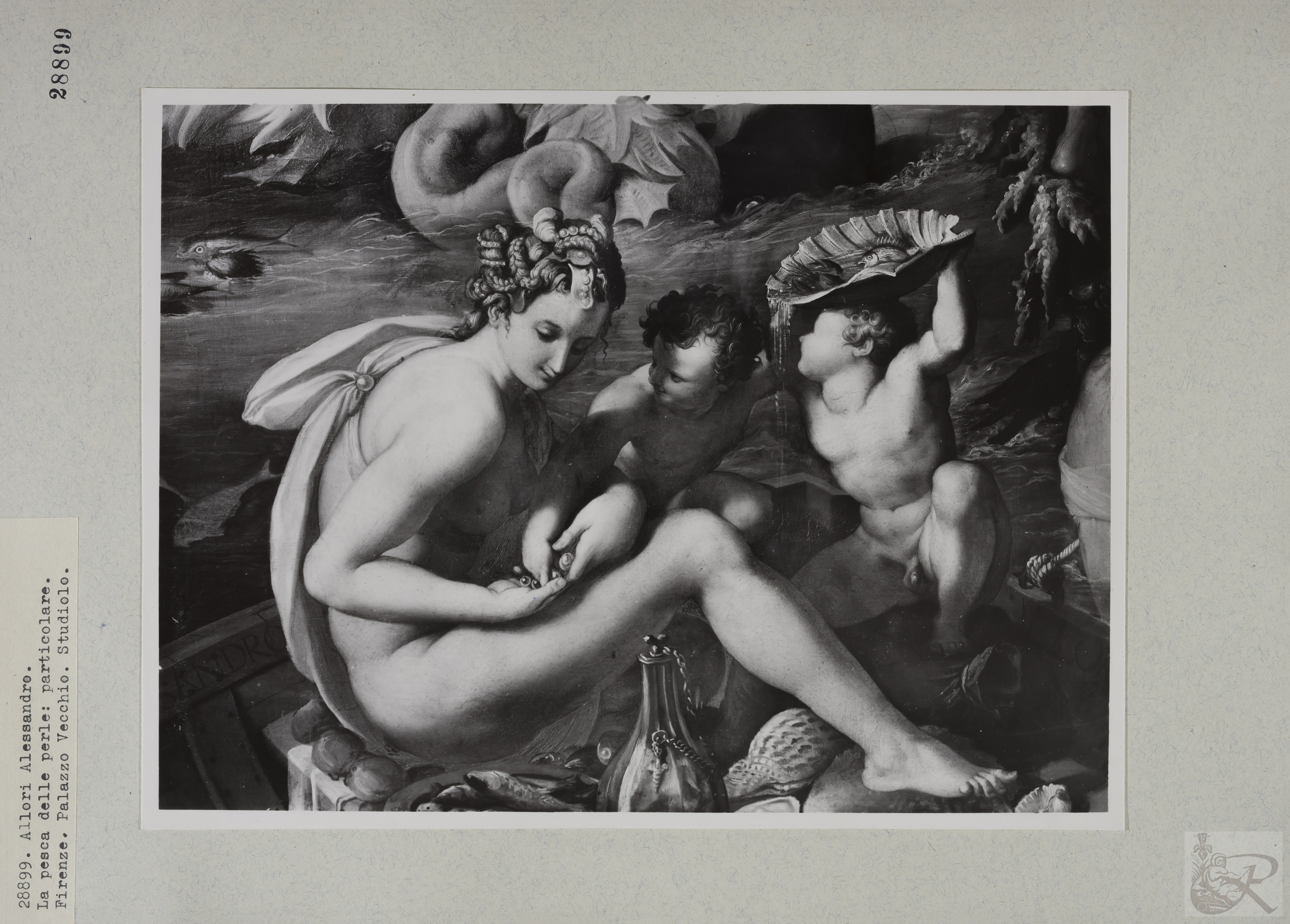 Immagine di anteprima