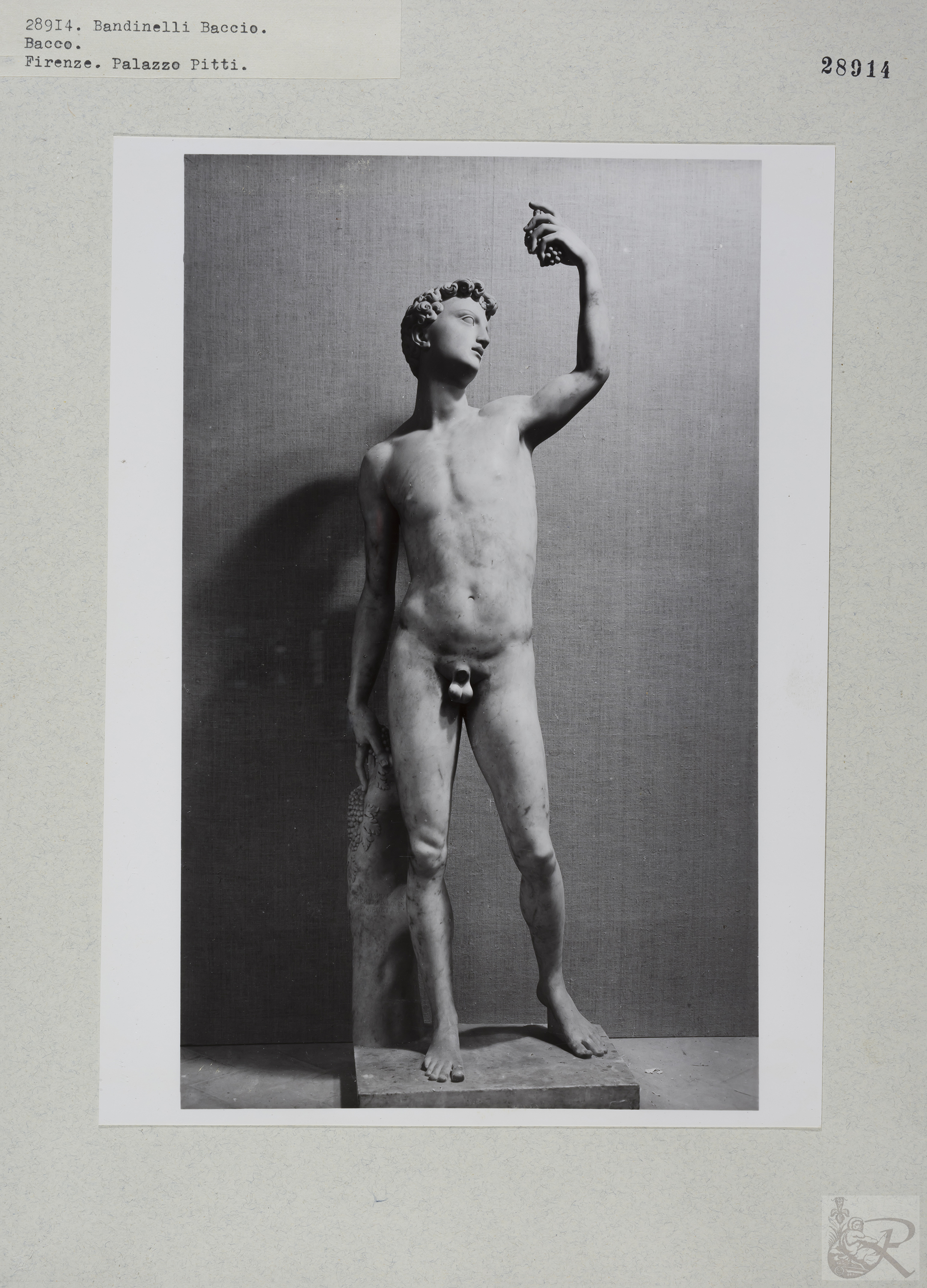 Immagine di anteprima