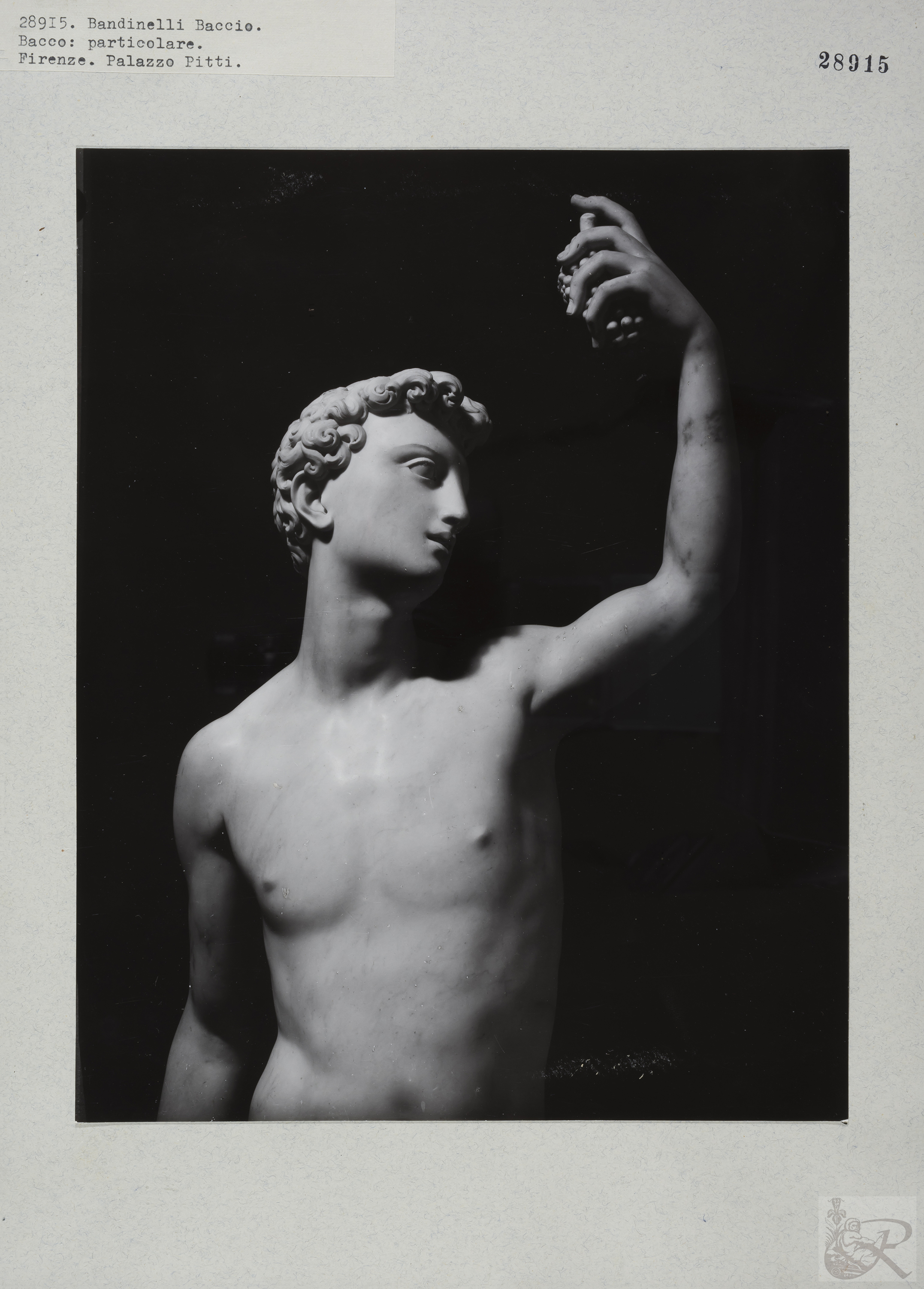 Immagine di anteprima