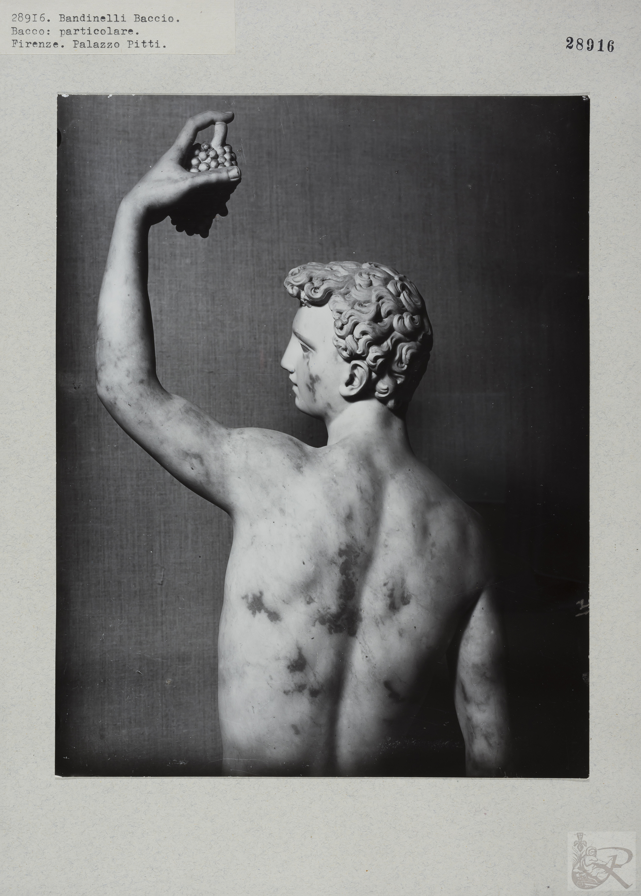 Immagine di anteprima