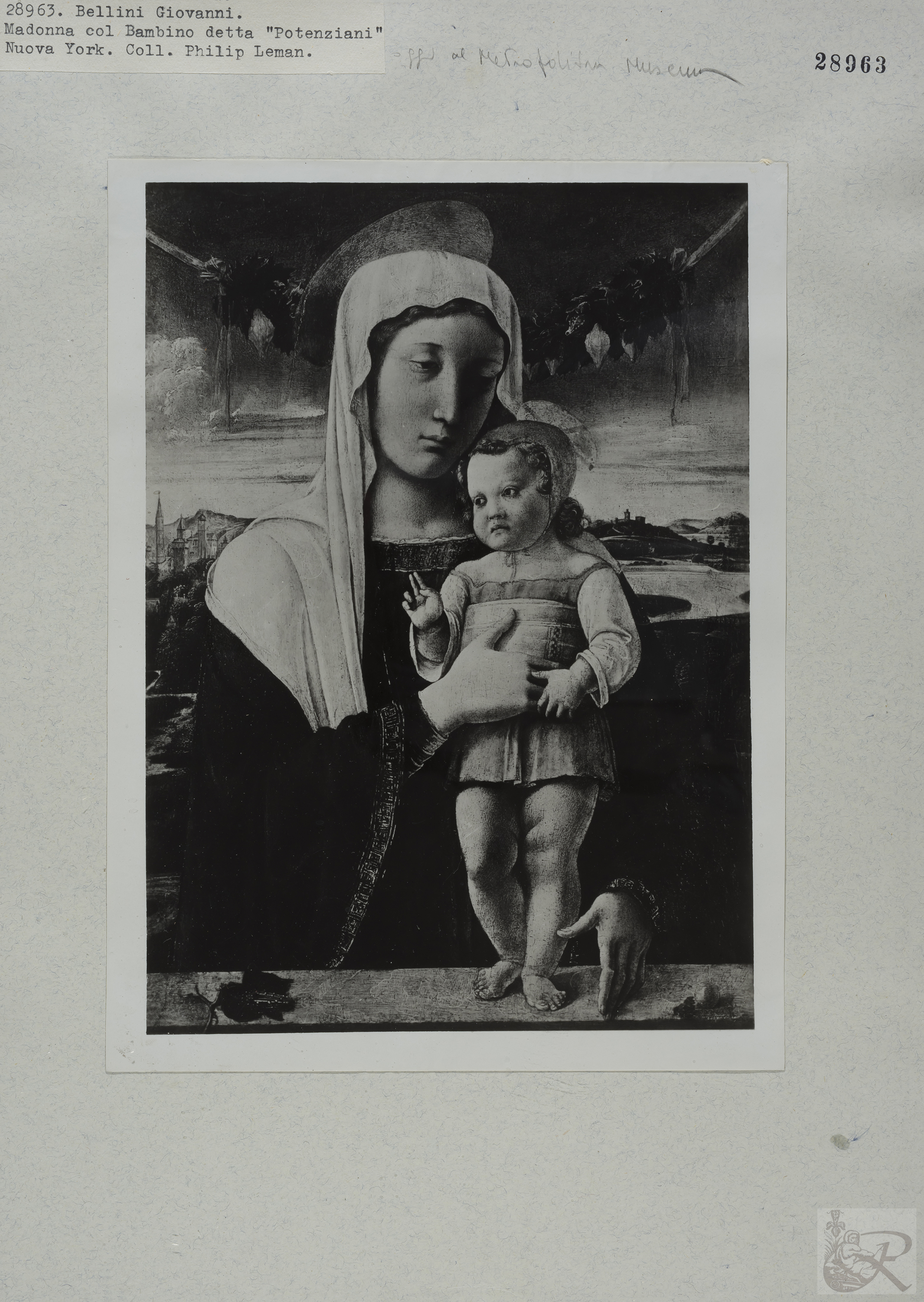 Immagine di anteprima