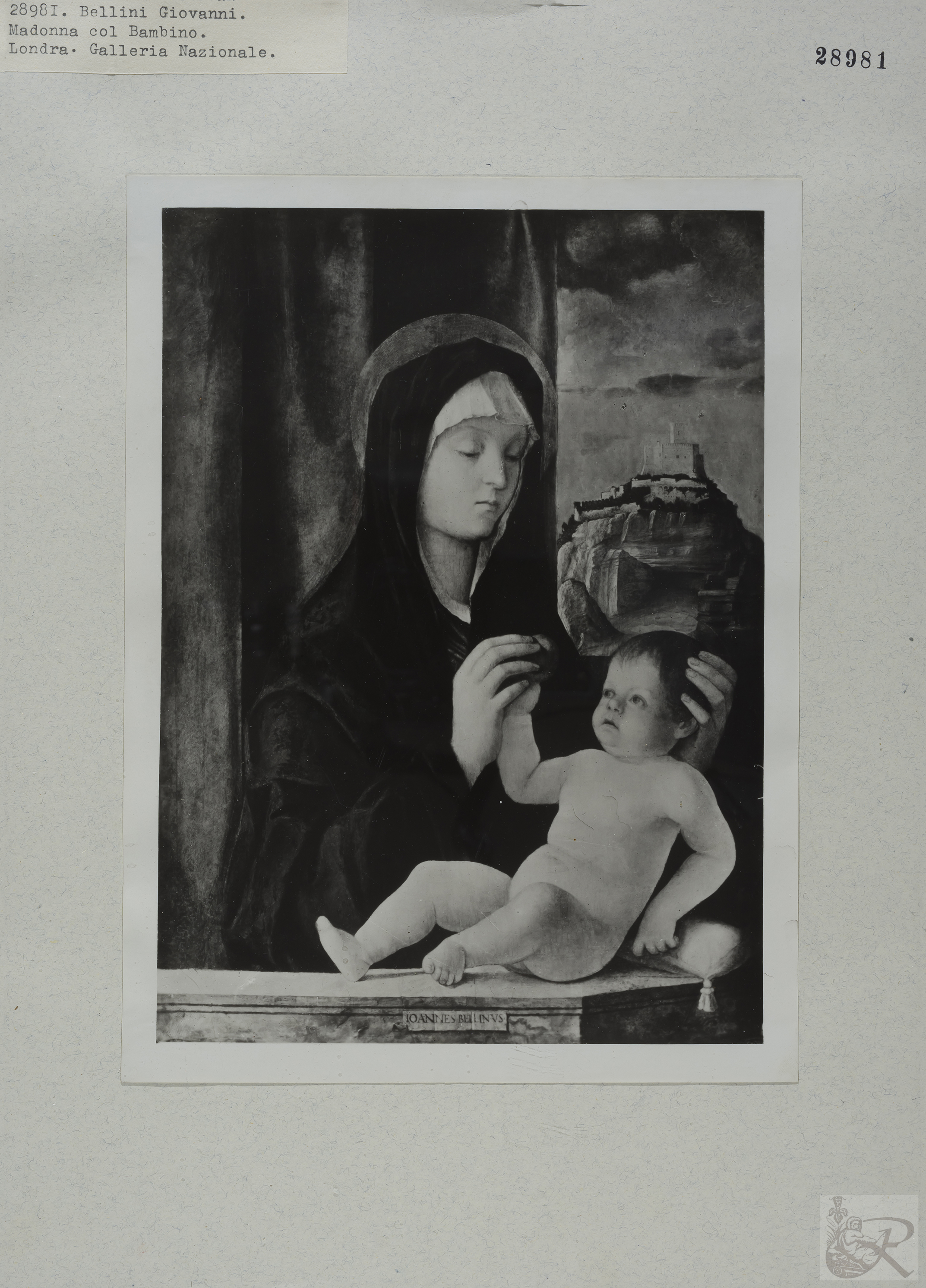 Immagine di anteprima