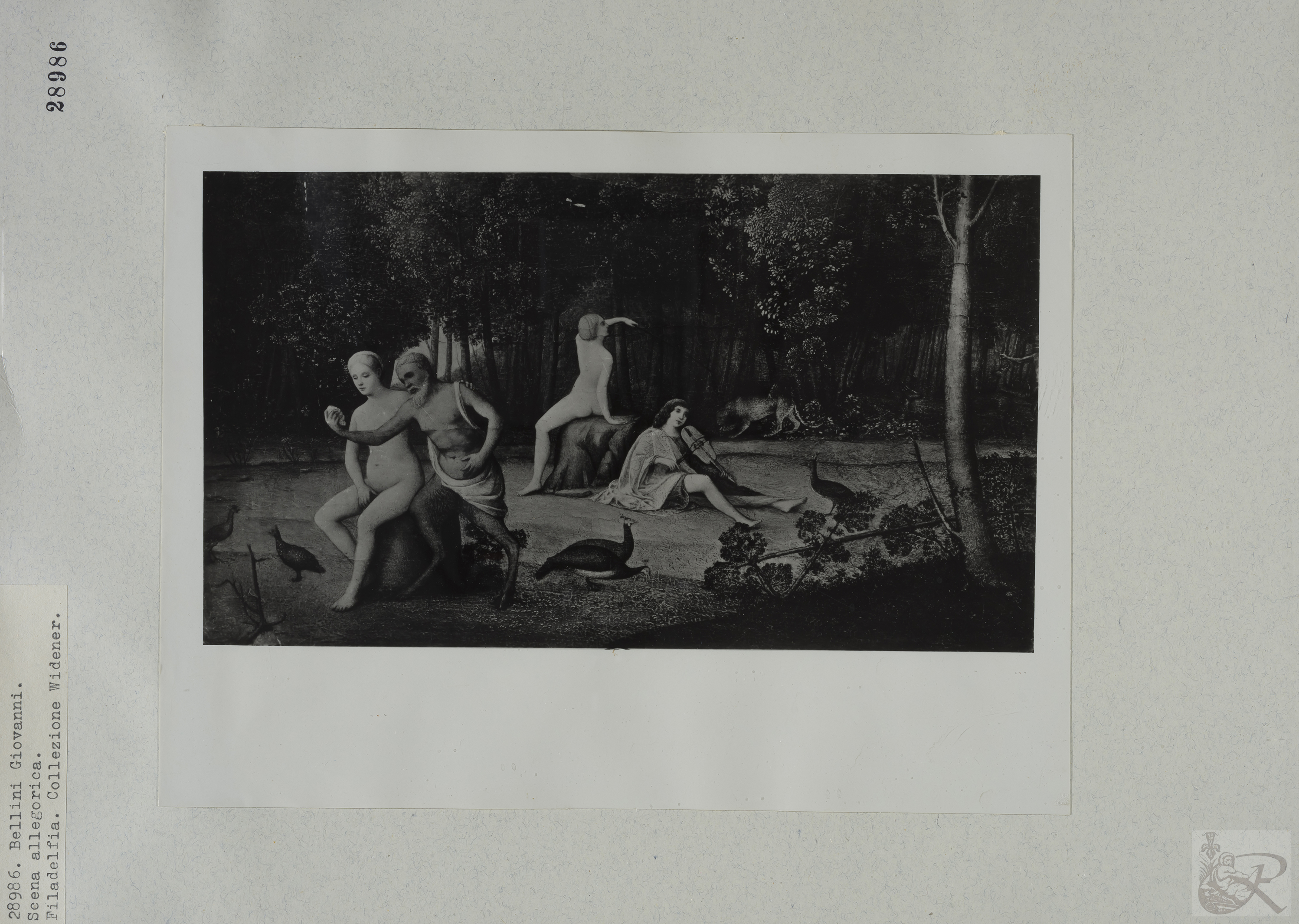 Immagine di anteprima