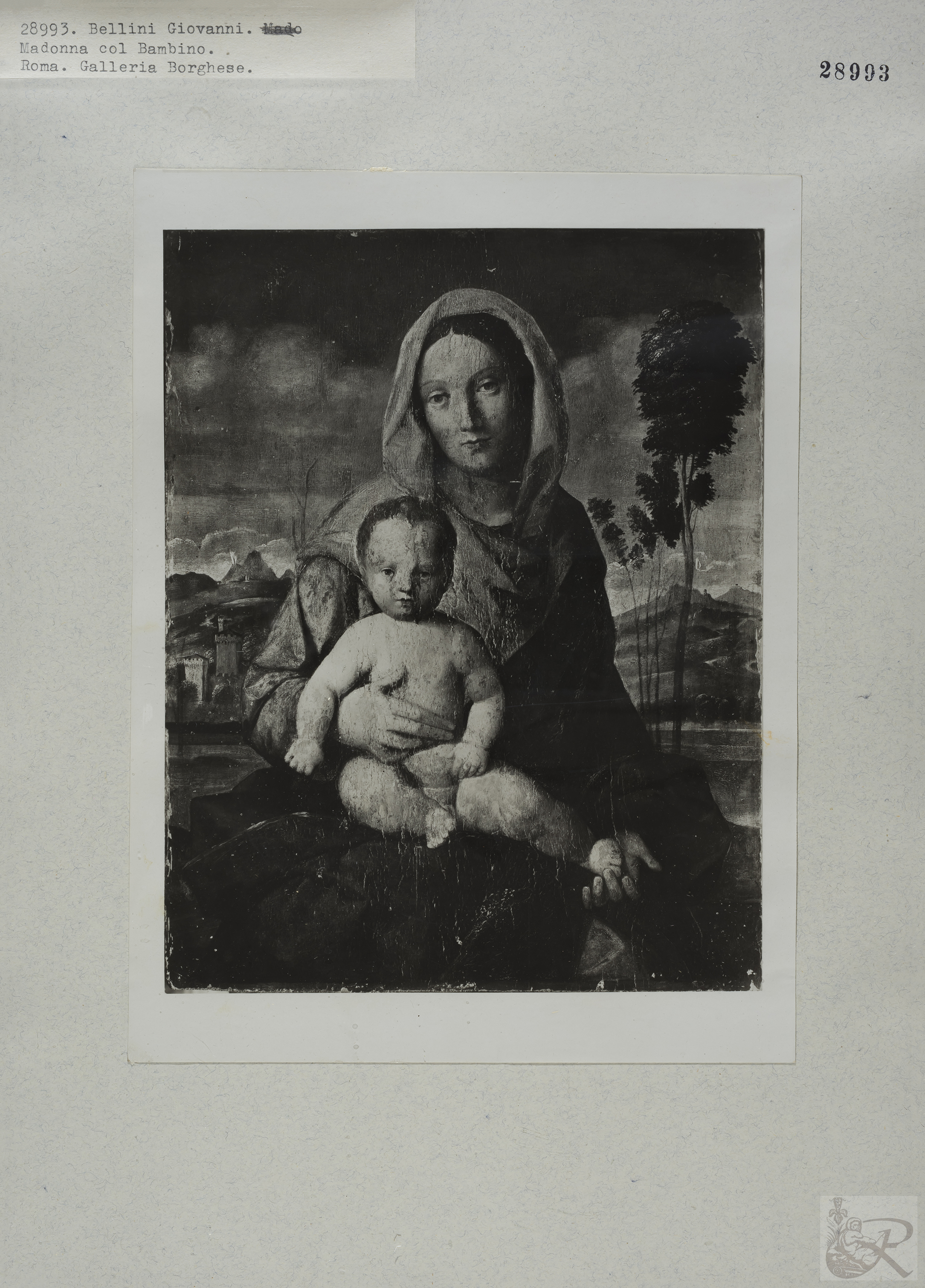 Immagine di anteprima