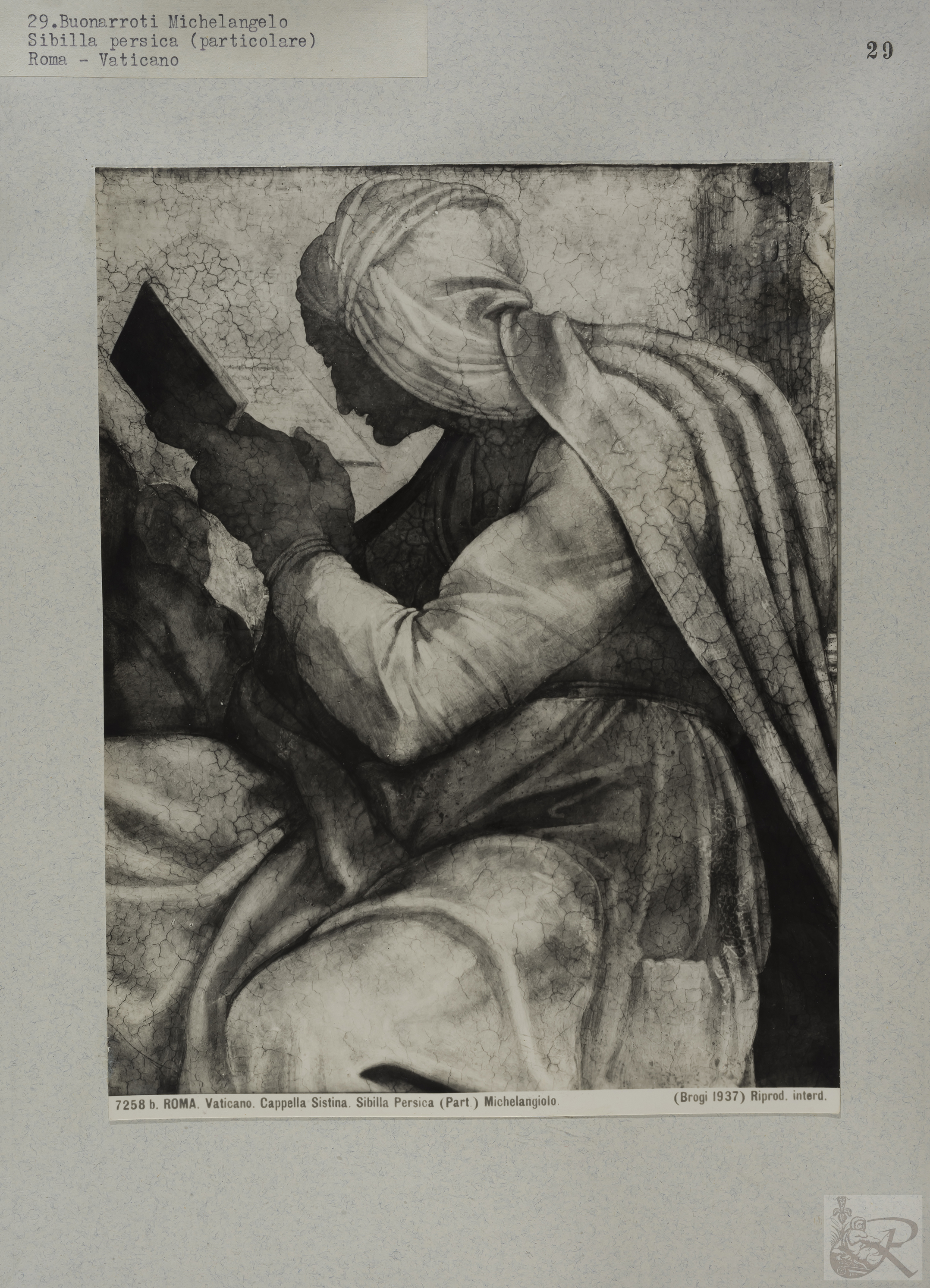 Immagine di anteprima