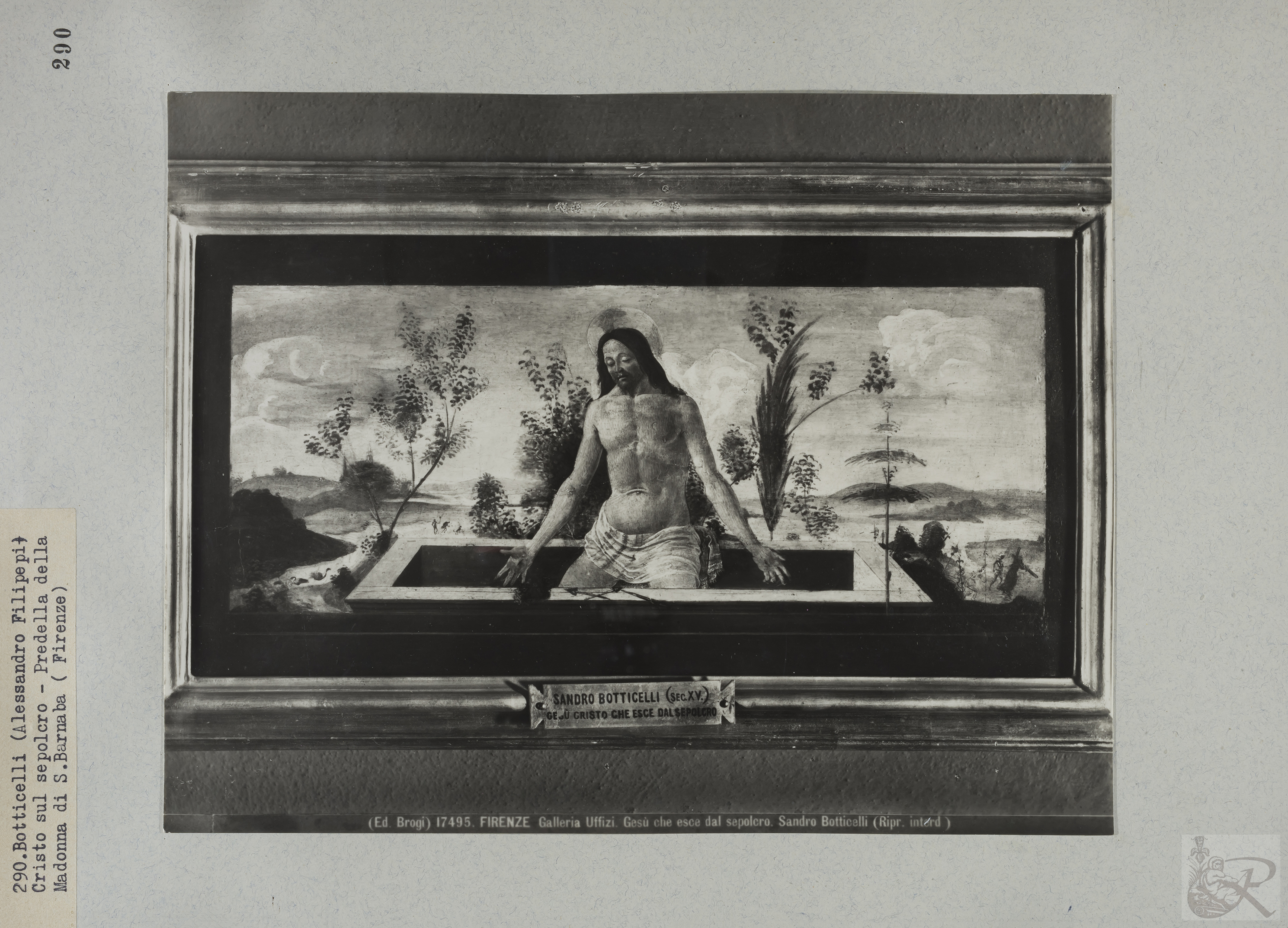 Immagine di anteprima