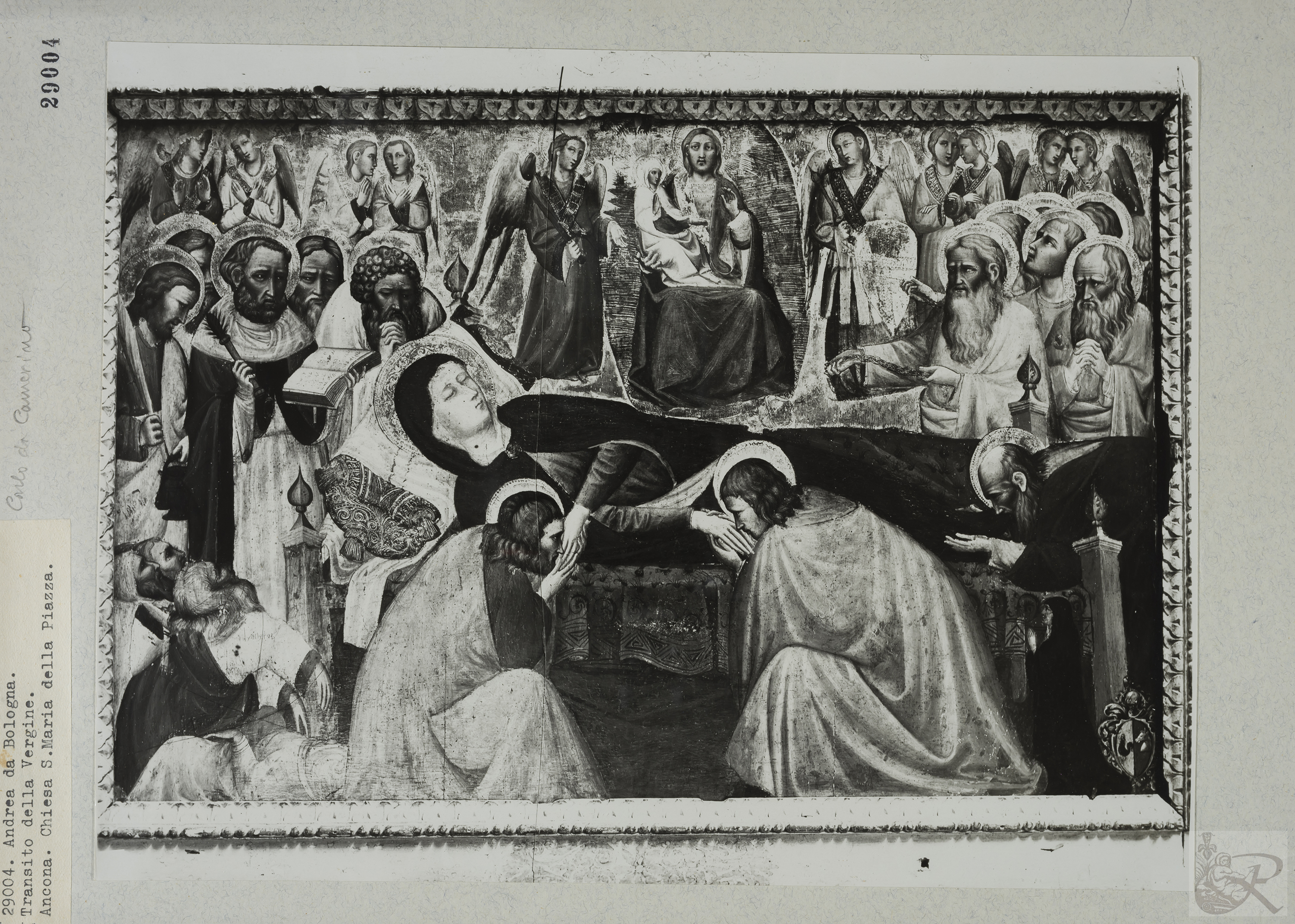 Immagine di anteprima