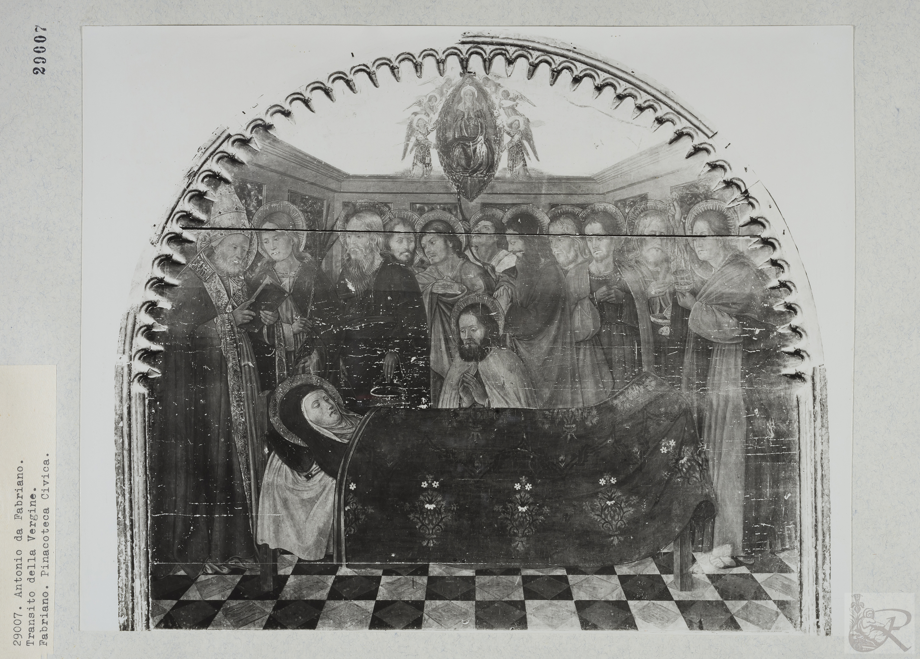 Immagine di anteprima