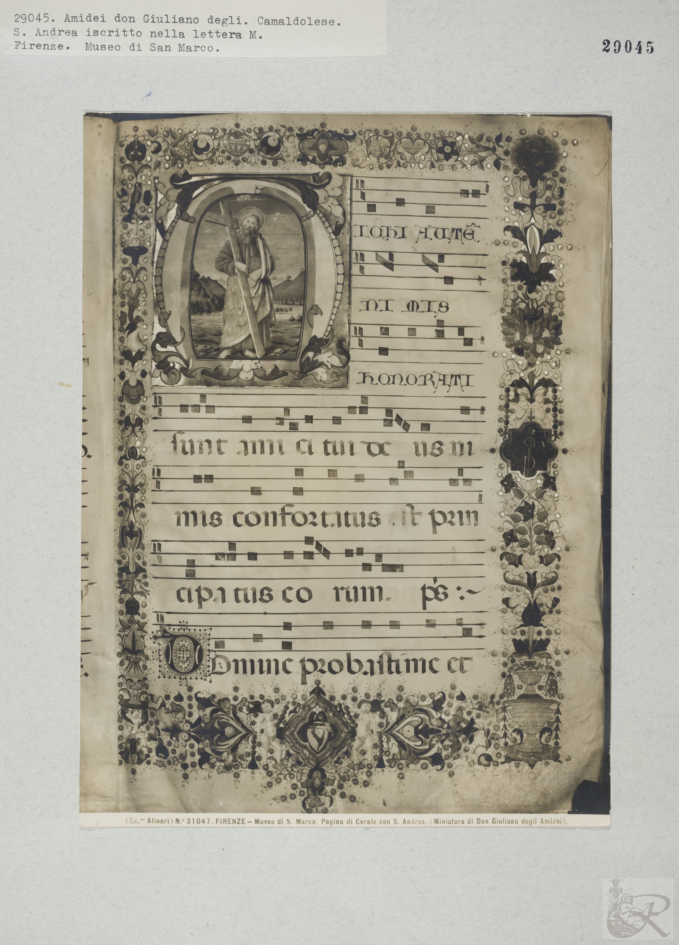 Immagine di anteprima