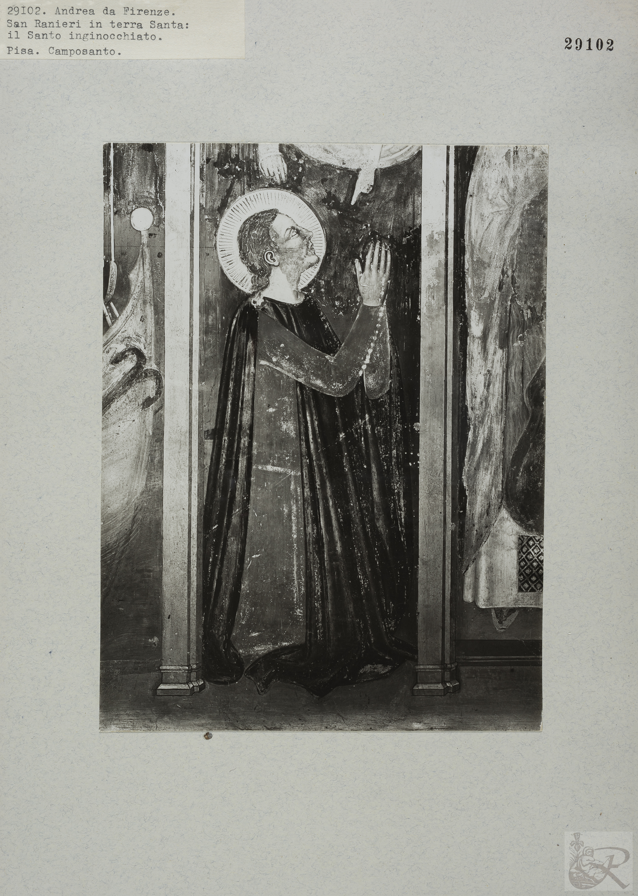 Immagine di anteprima