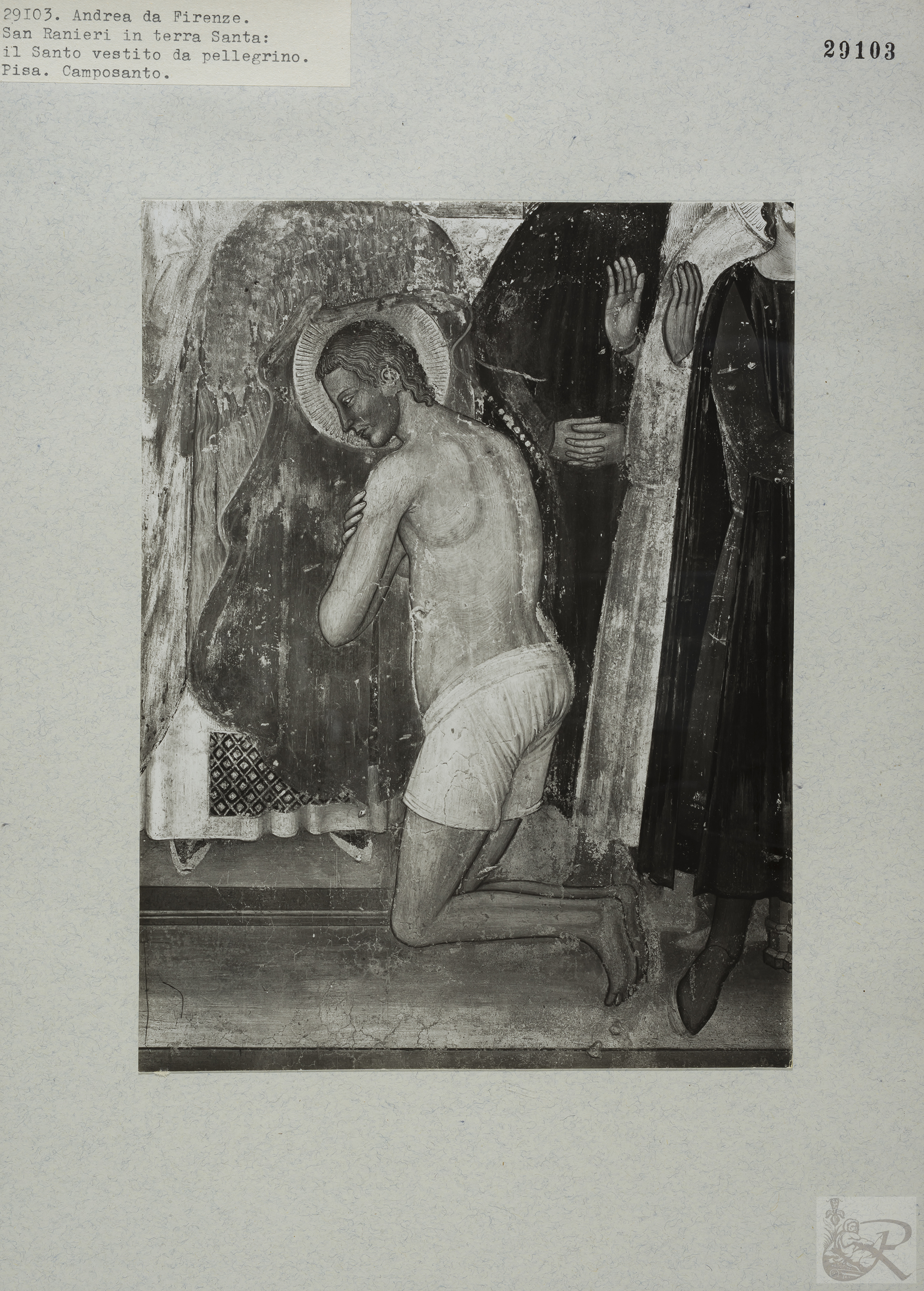 Immagine di anteprima