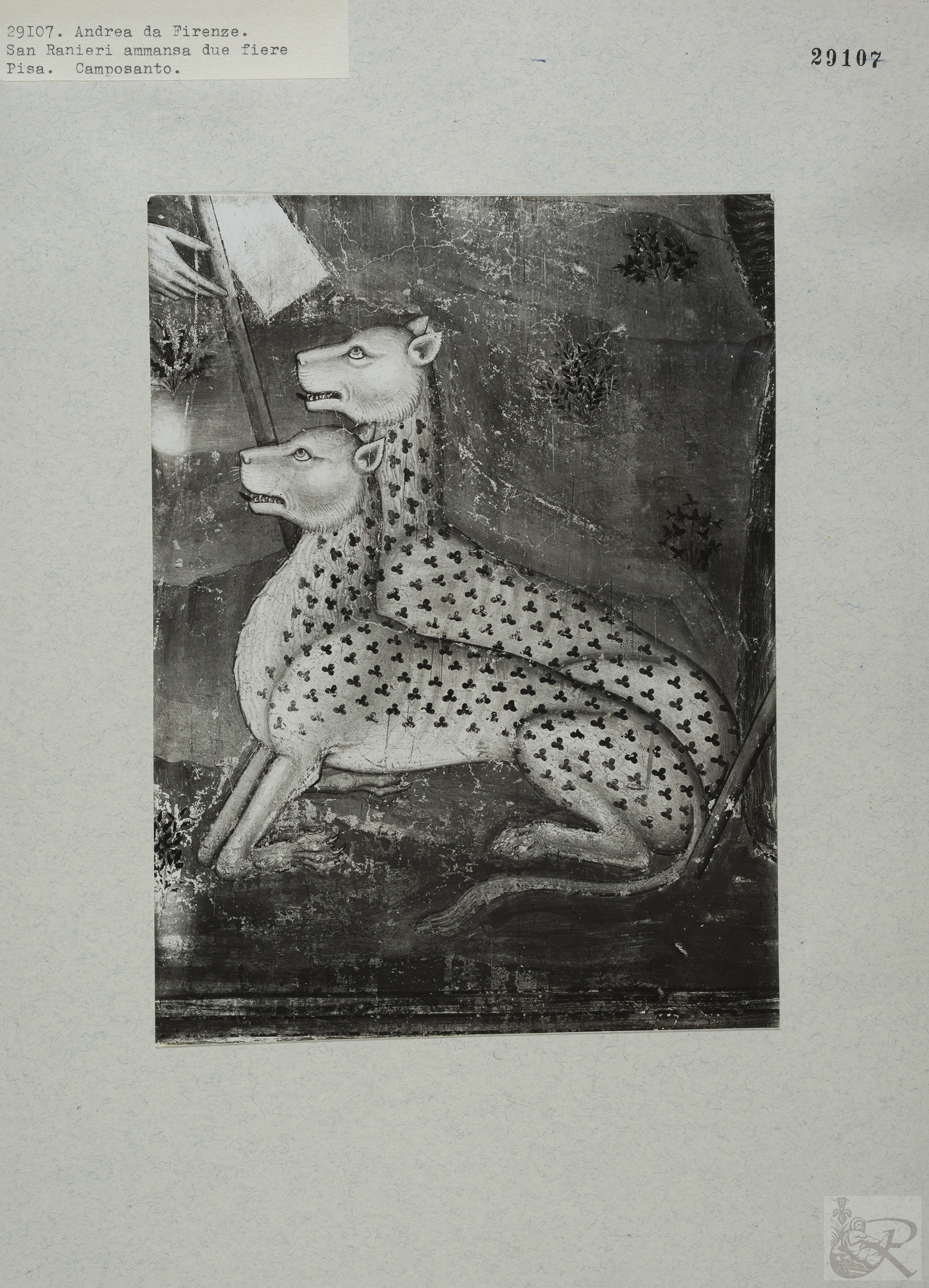 Immagine di anteprima