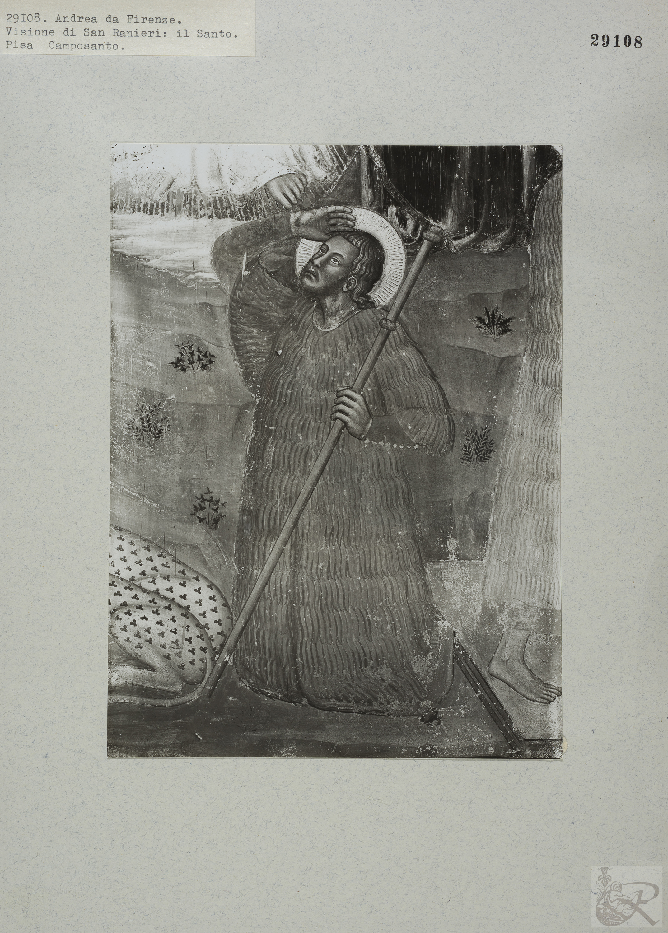 Immagine di anteprima