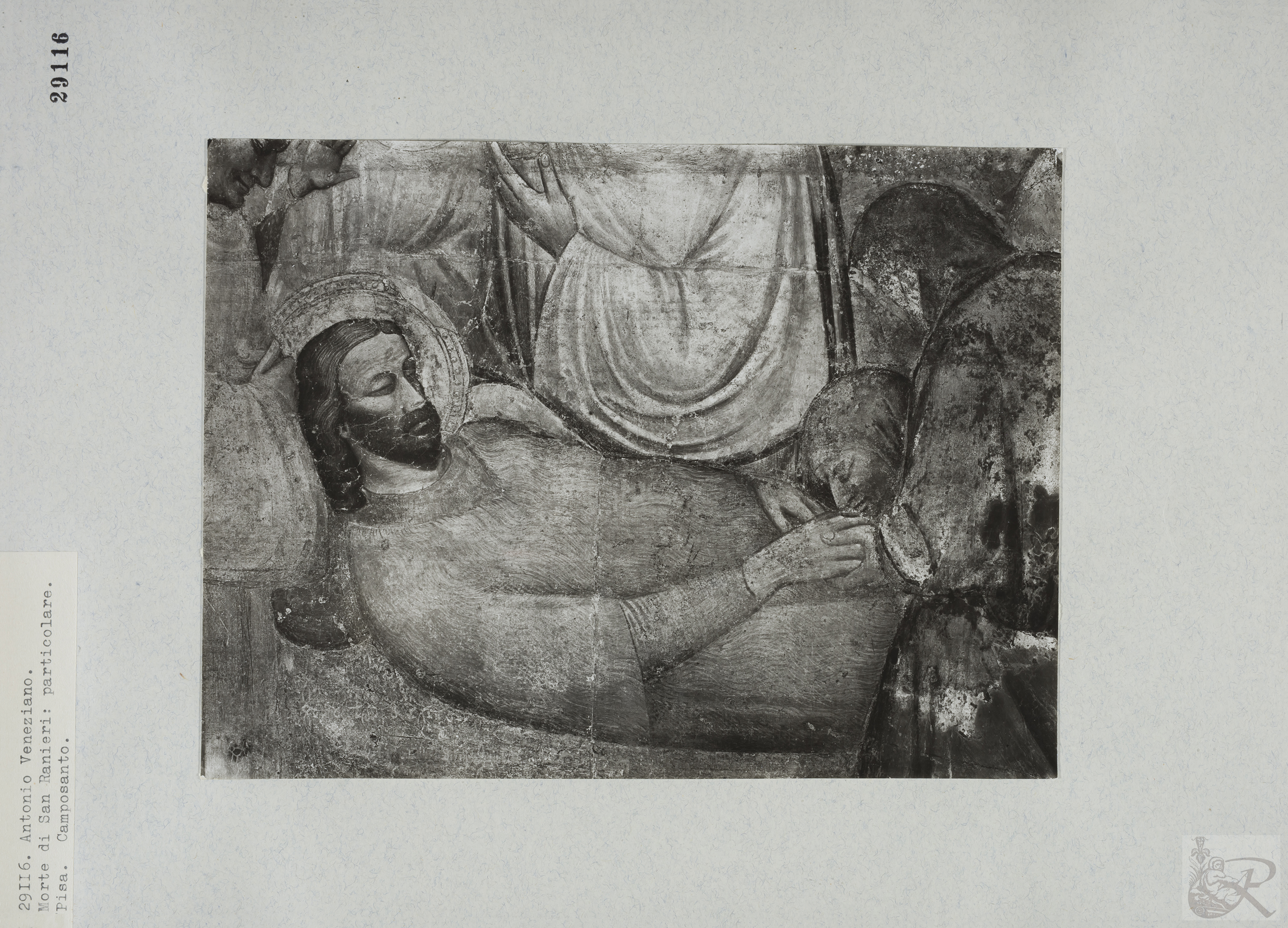 Immagine di anteprima