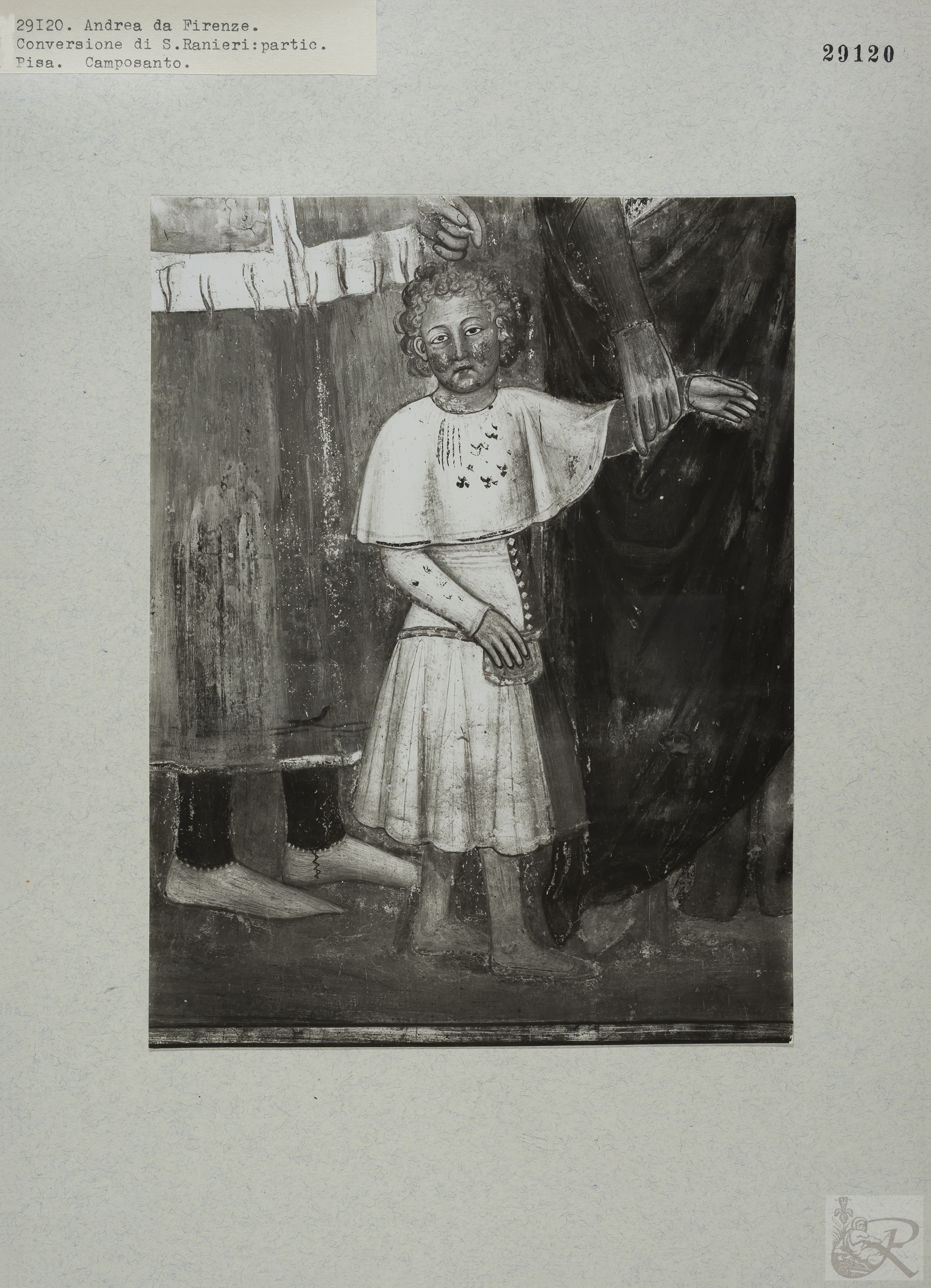 Immagine di anteprima