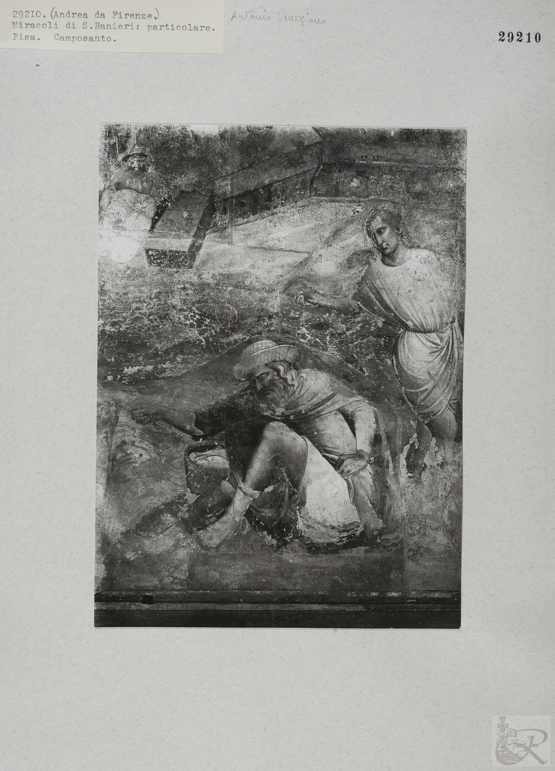 Immagine di anteprima