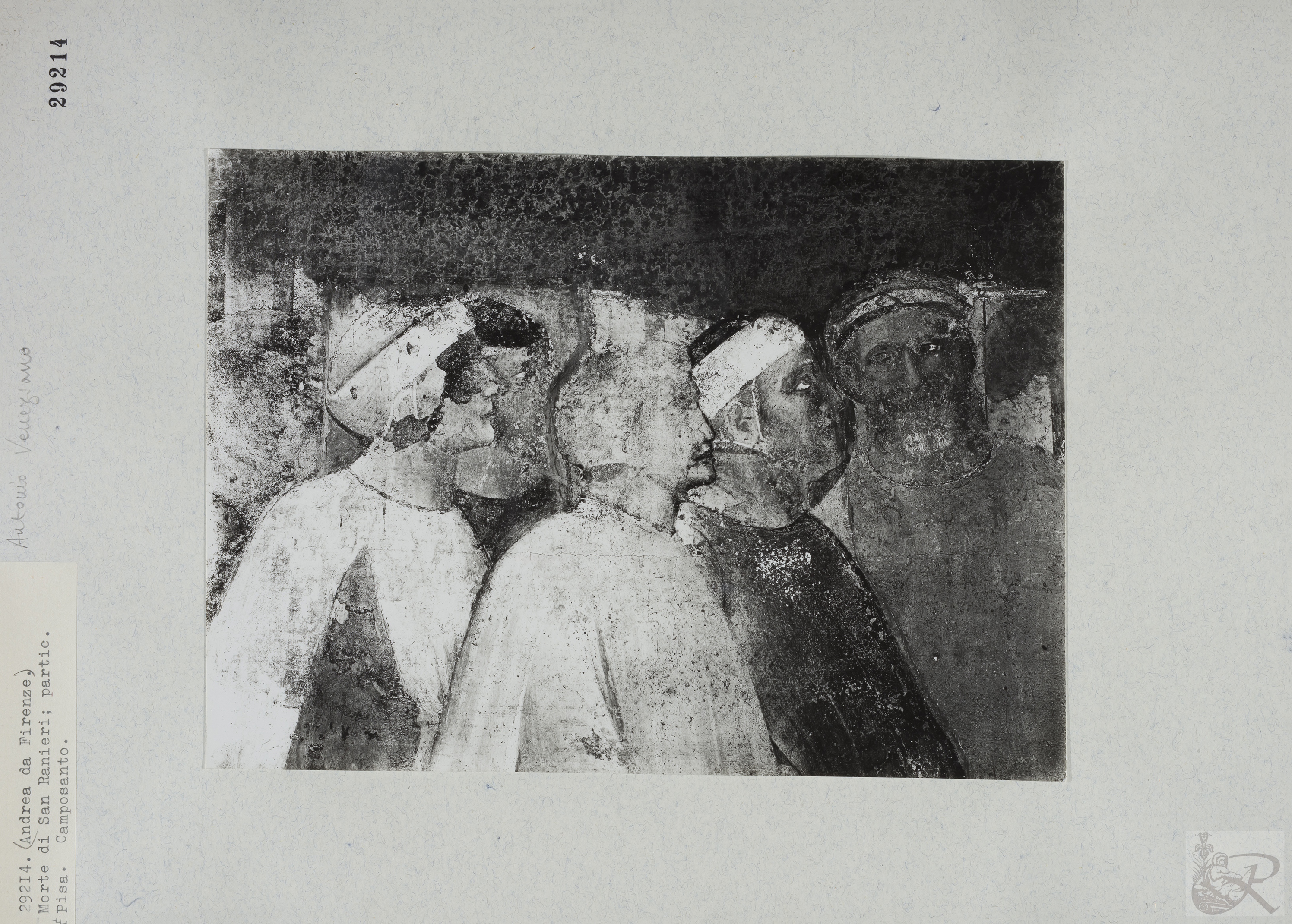 Immagine di anteprima