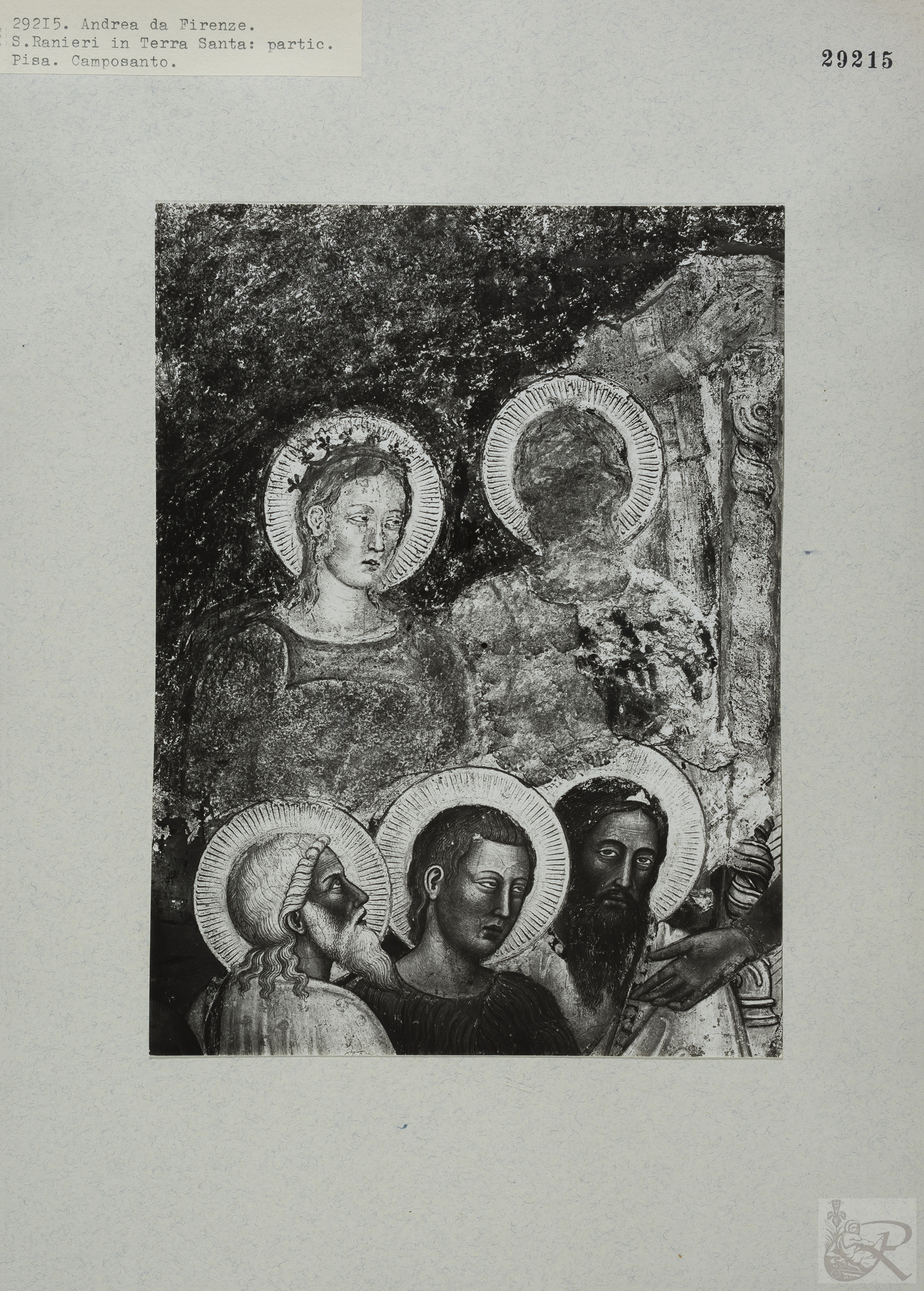 Immagine di anteprima