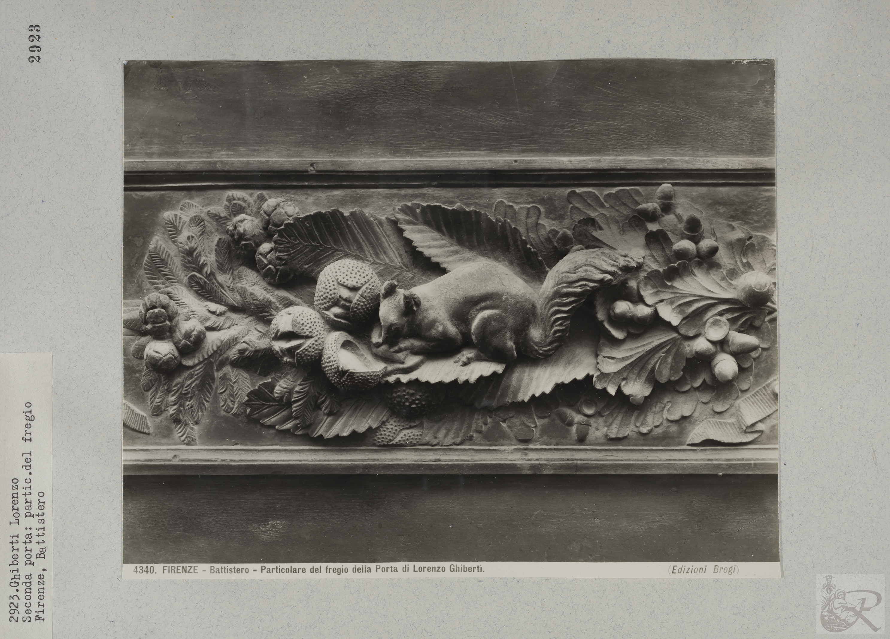 Immagine di anteprima