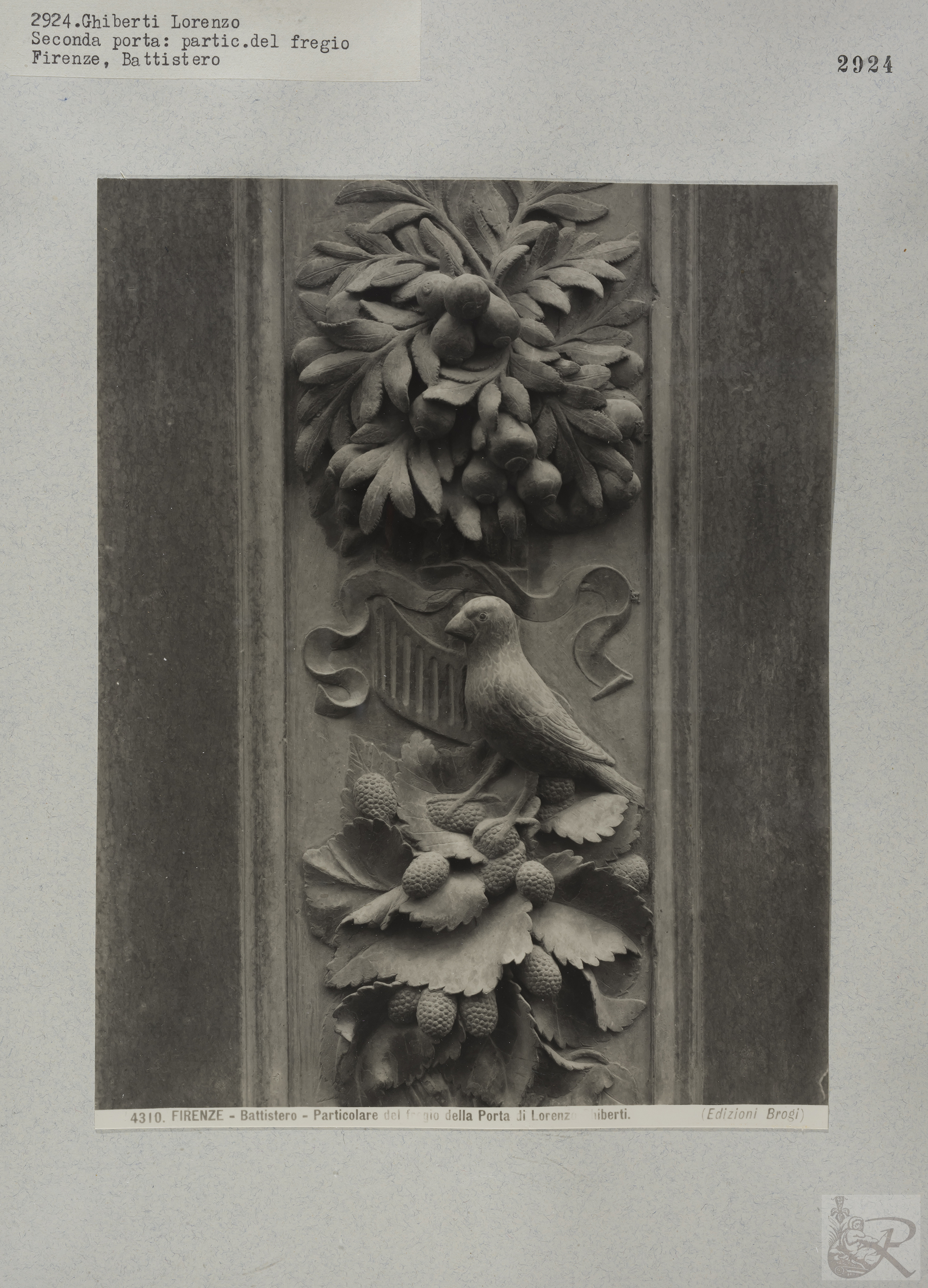 Immagine di anteprima