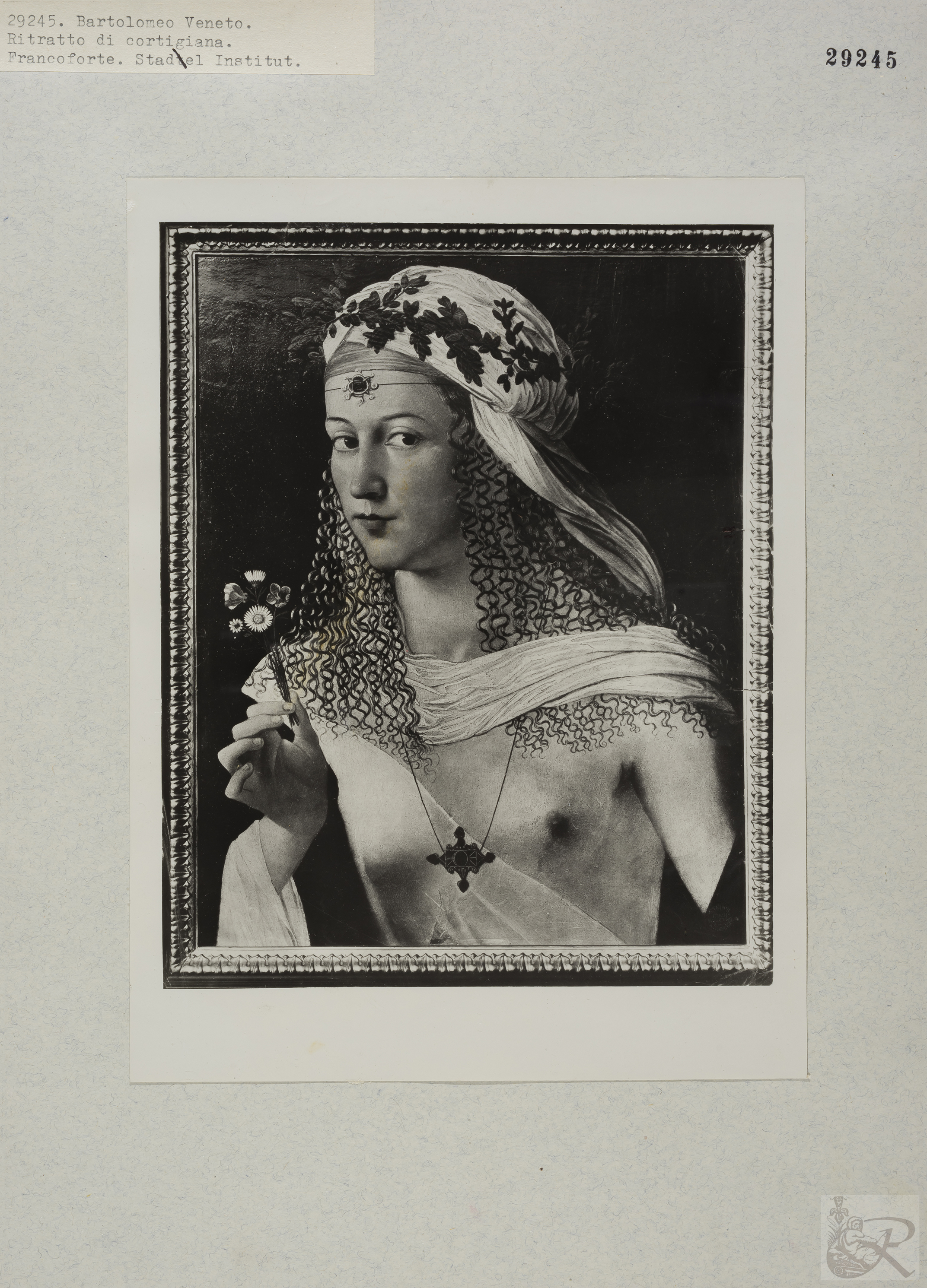 Immagine di anteprima