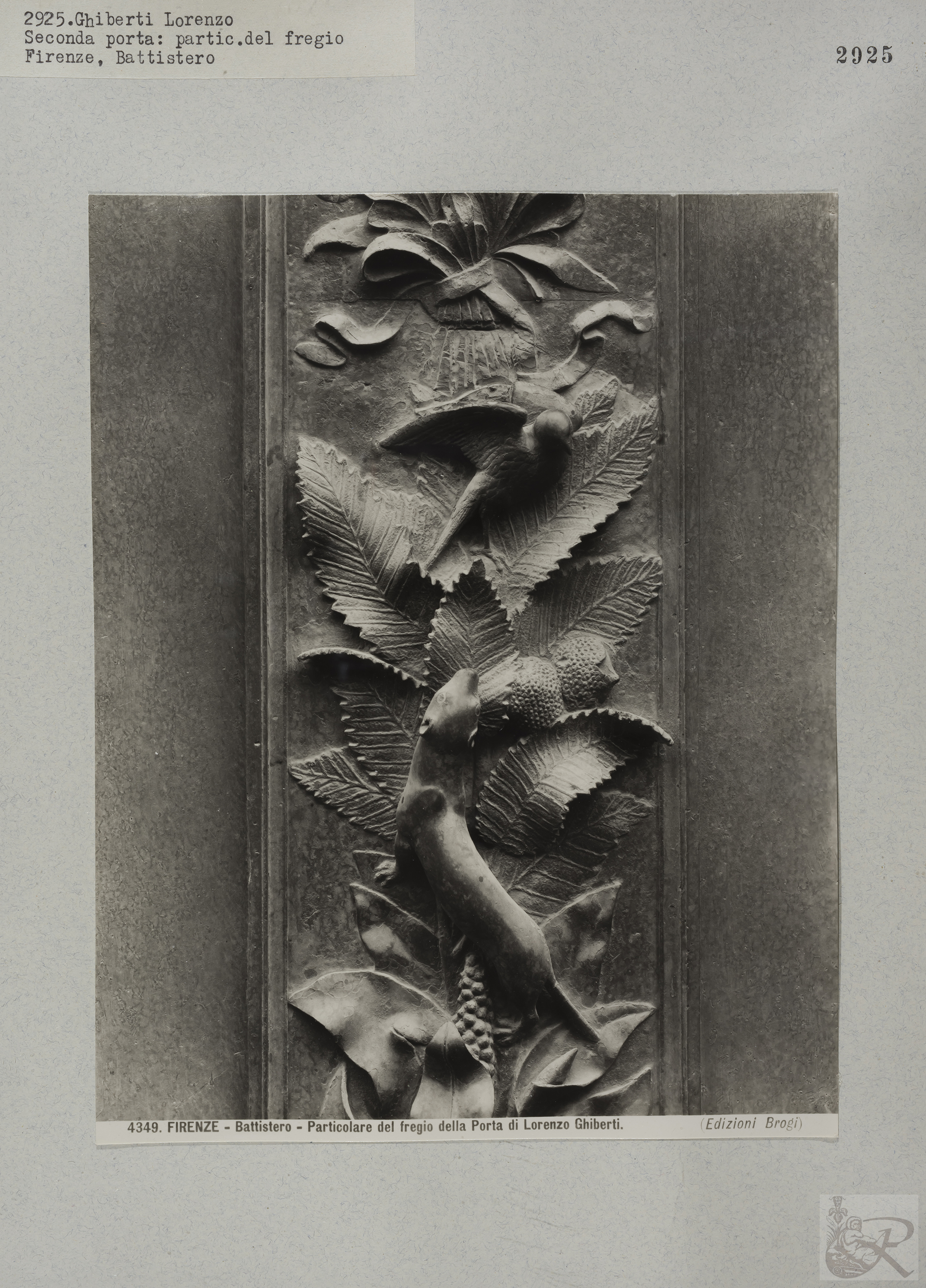 Immagine di anteprima