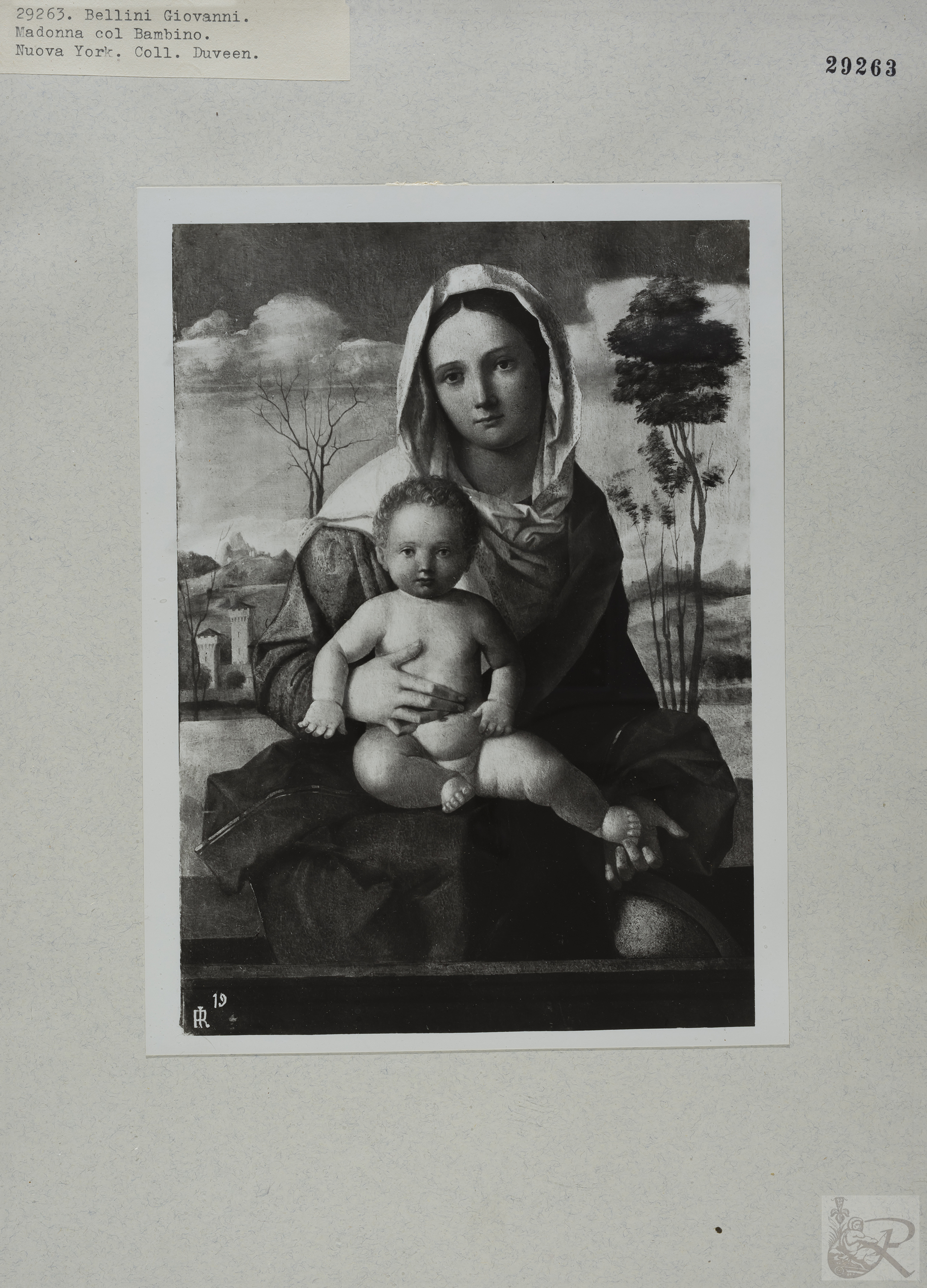 Immagine di anteprima