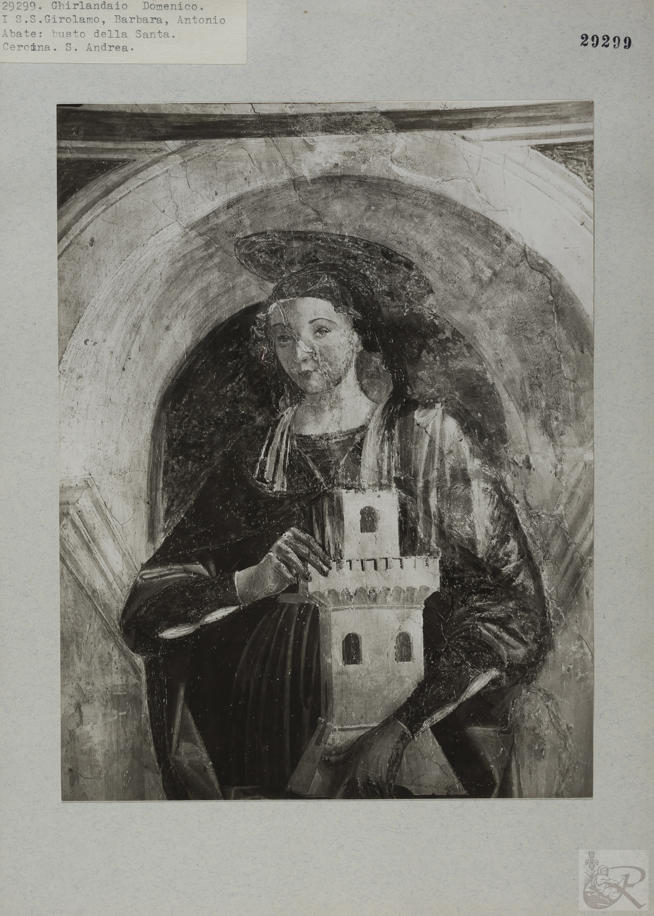 Immagine di anteprima