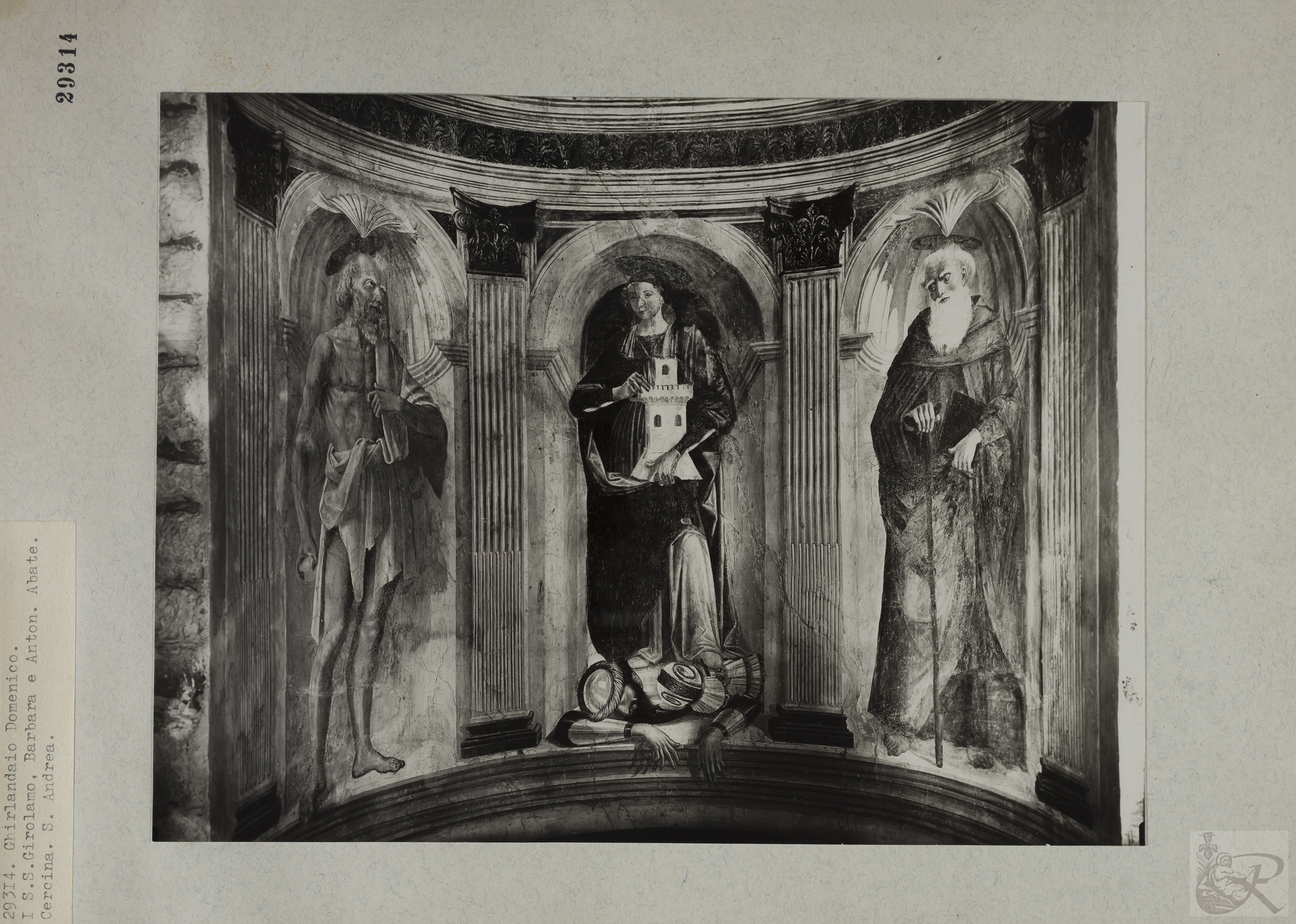 Immagine di anteprima