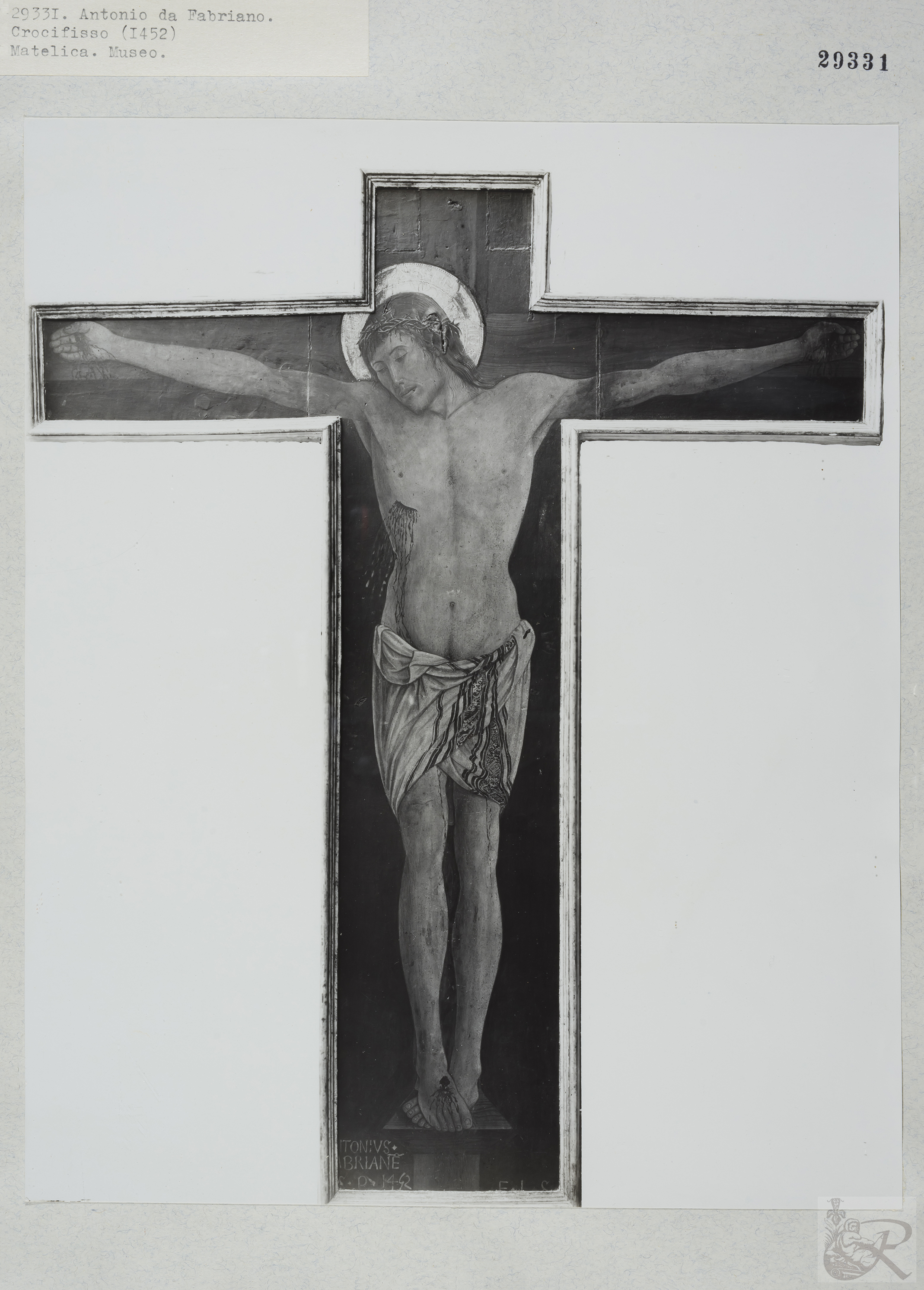 Immagine di anteprima