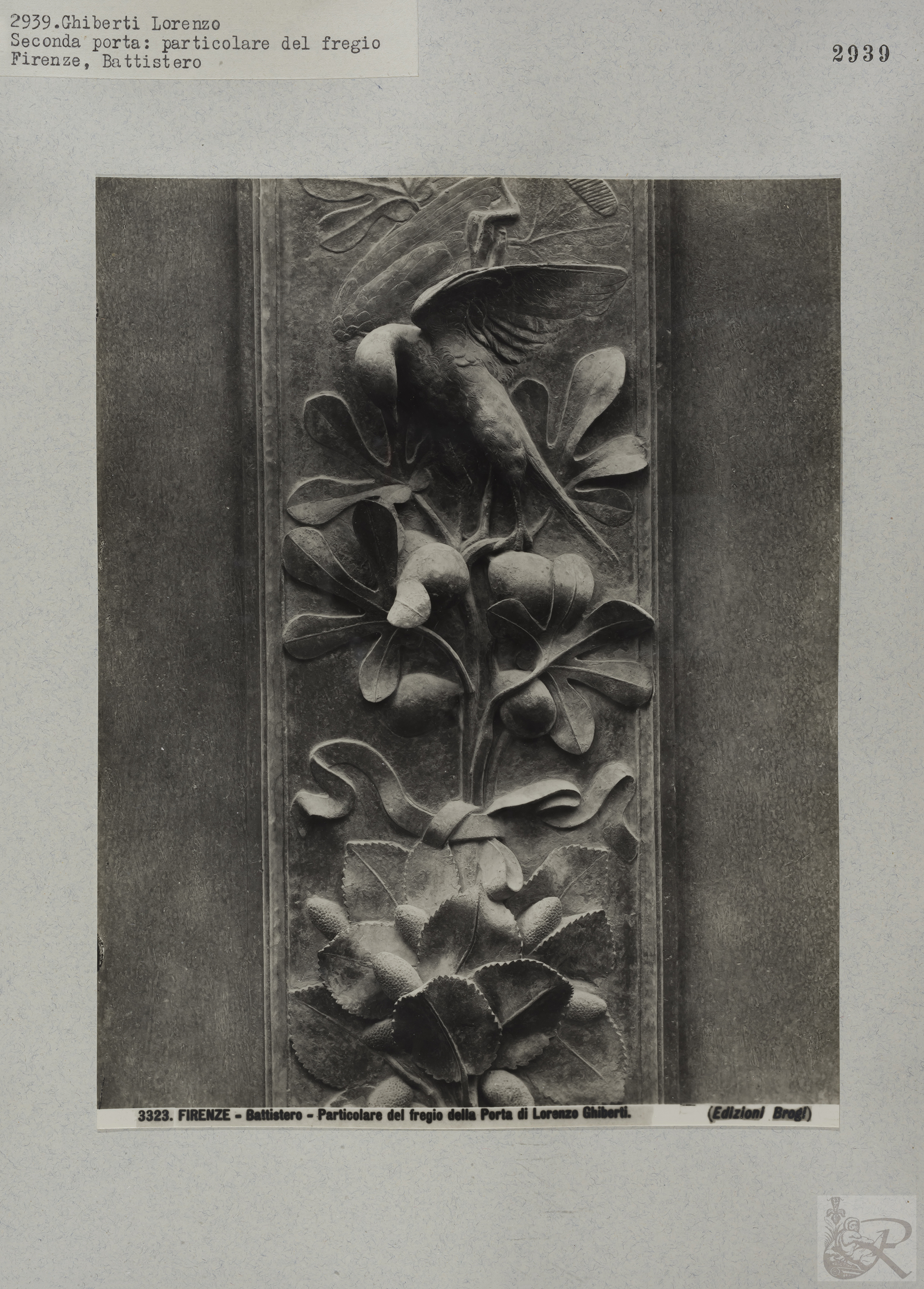 Immagine di anteprima