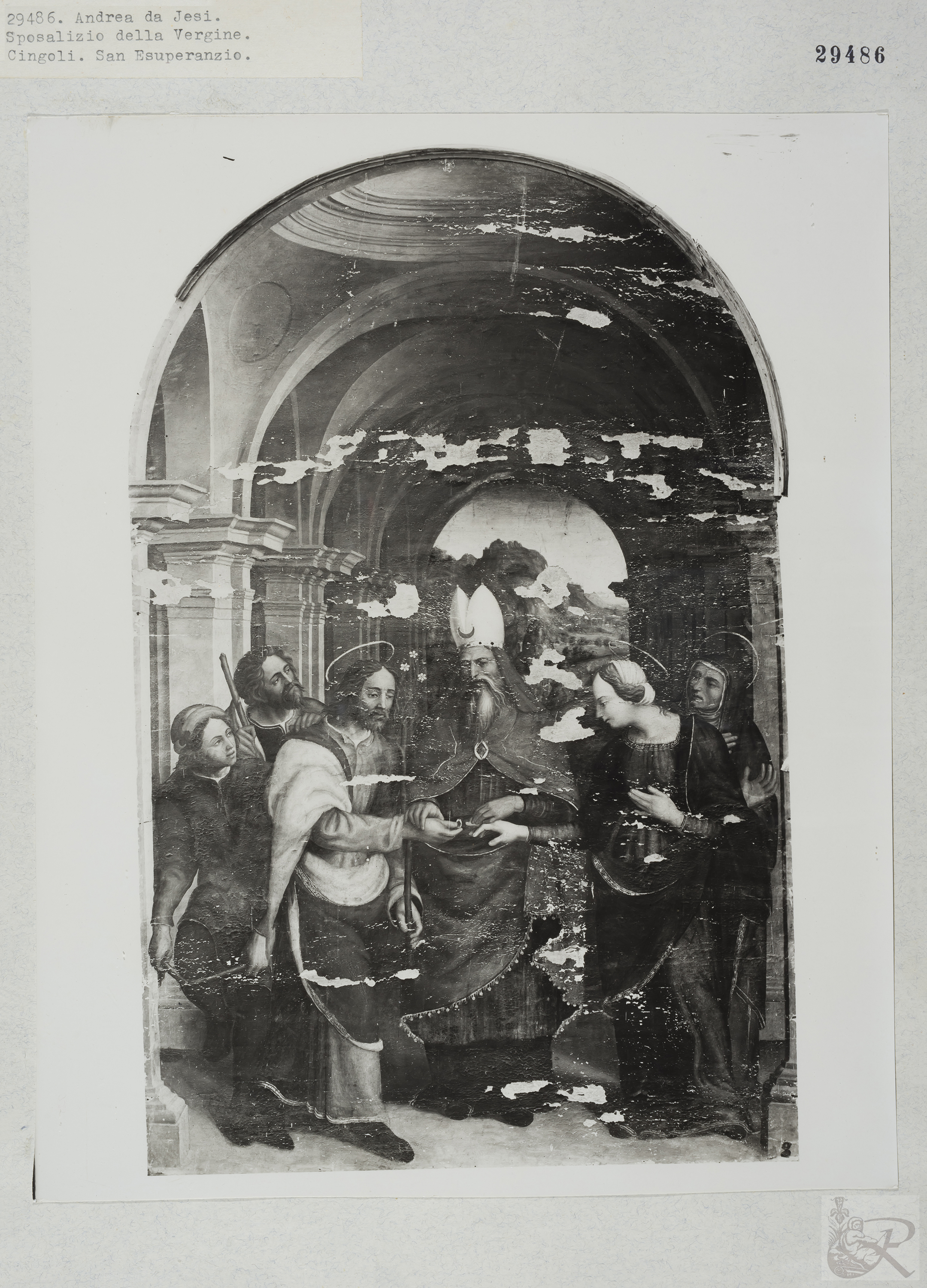 Immagine di anteprima