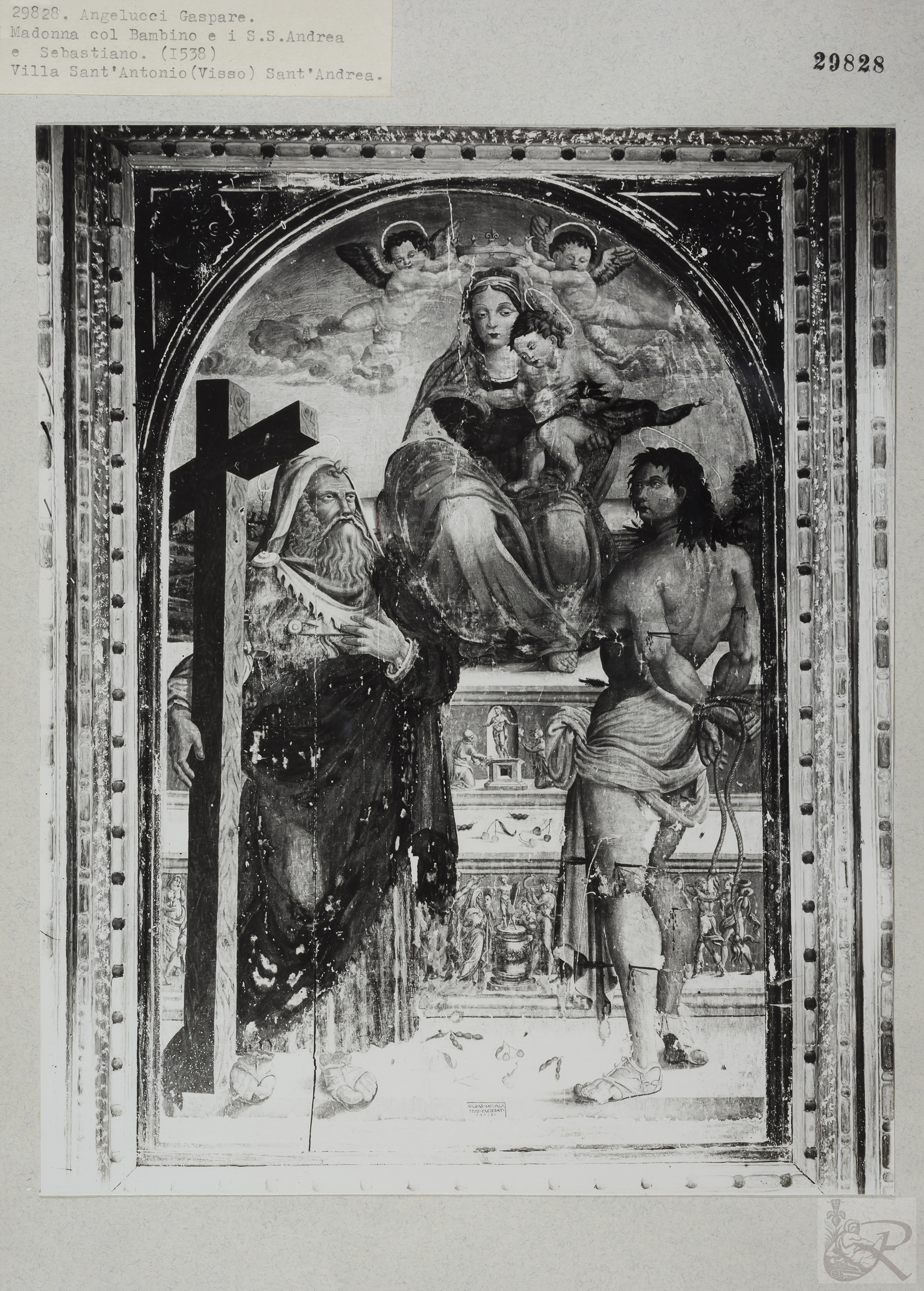 Immagine di anteprima