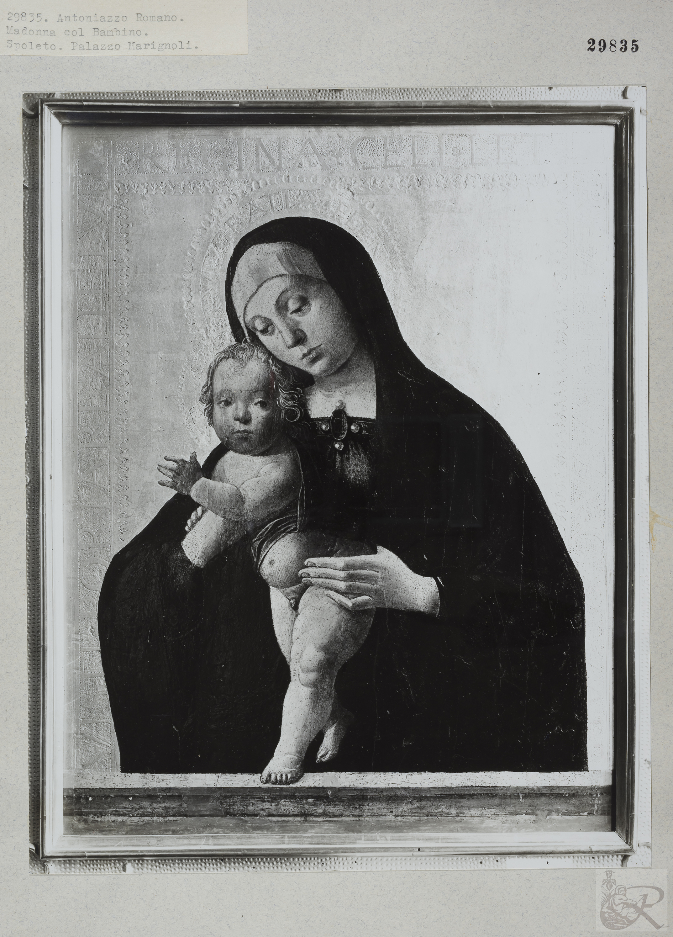 Immagine di anteprima