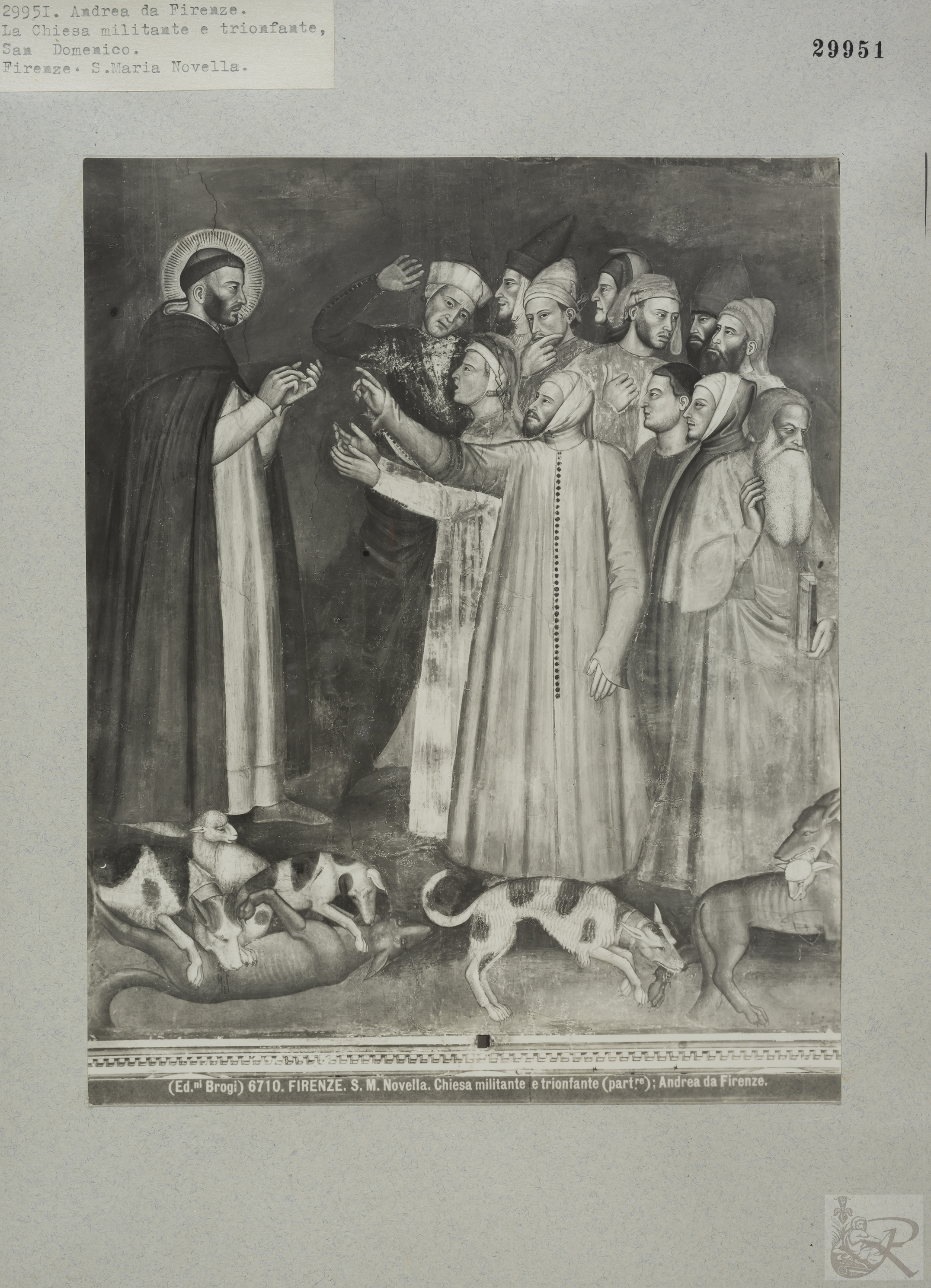 Immagine di anteprima