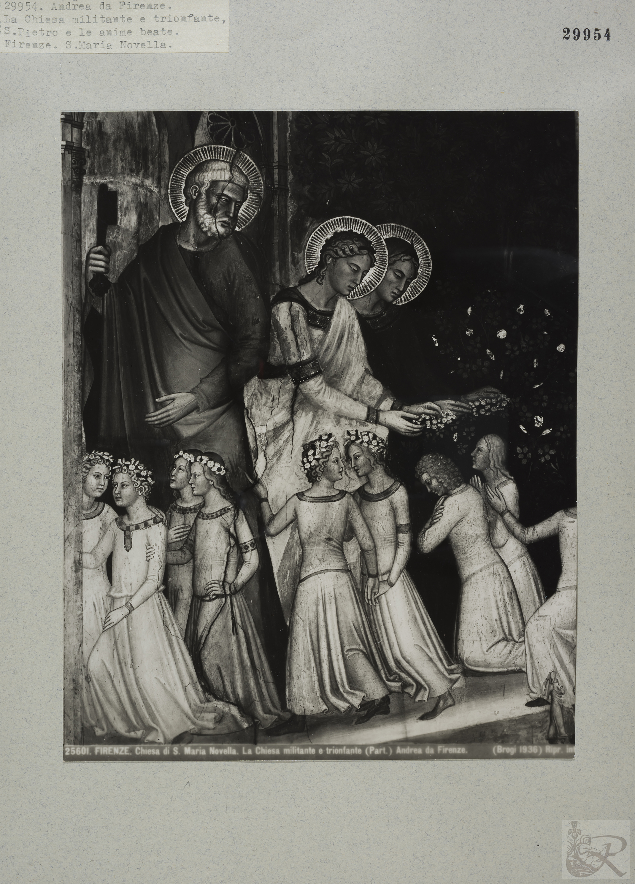 Immagine di anteprima