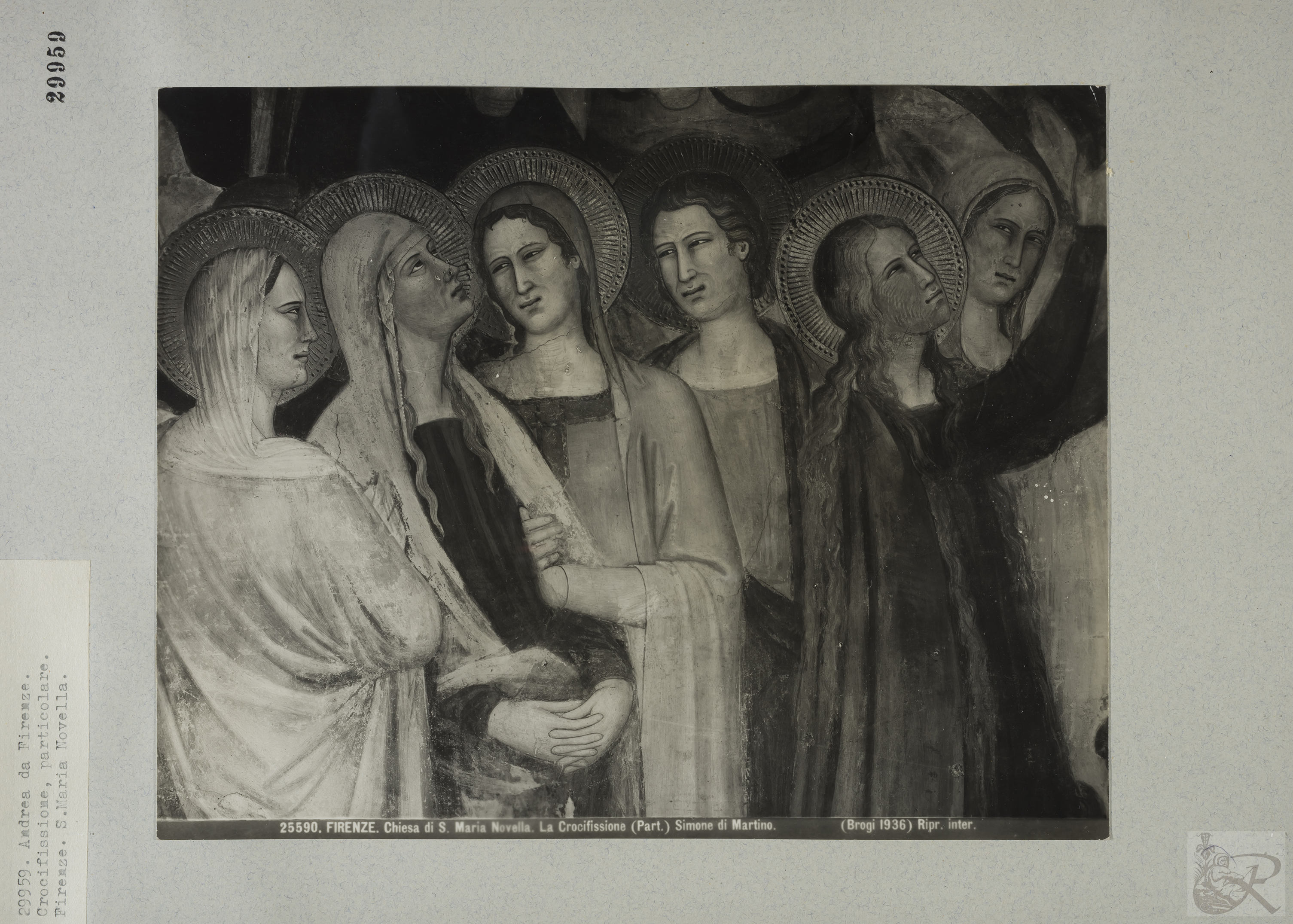 Immagine di anteprima