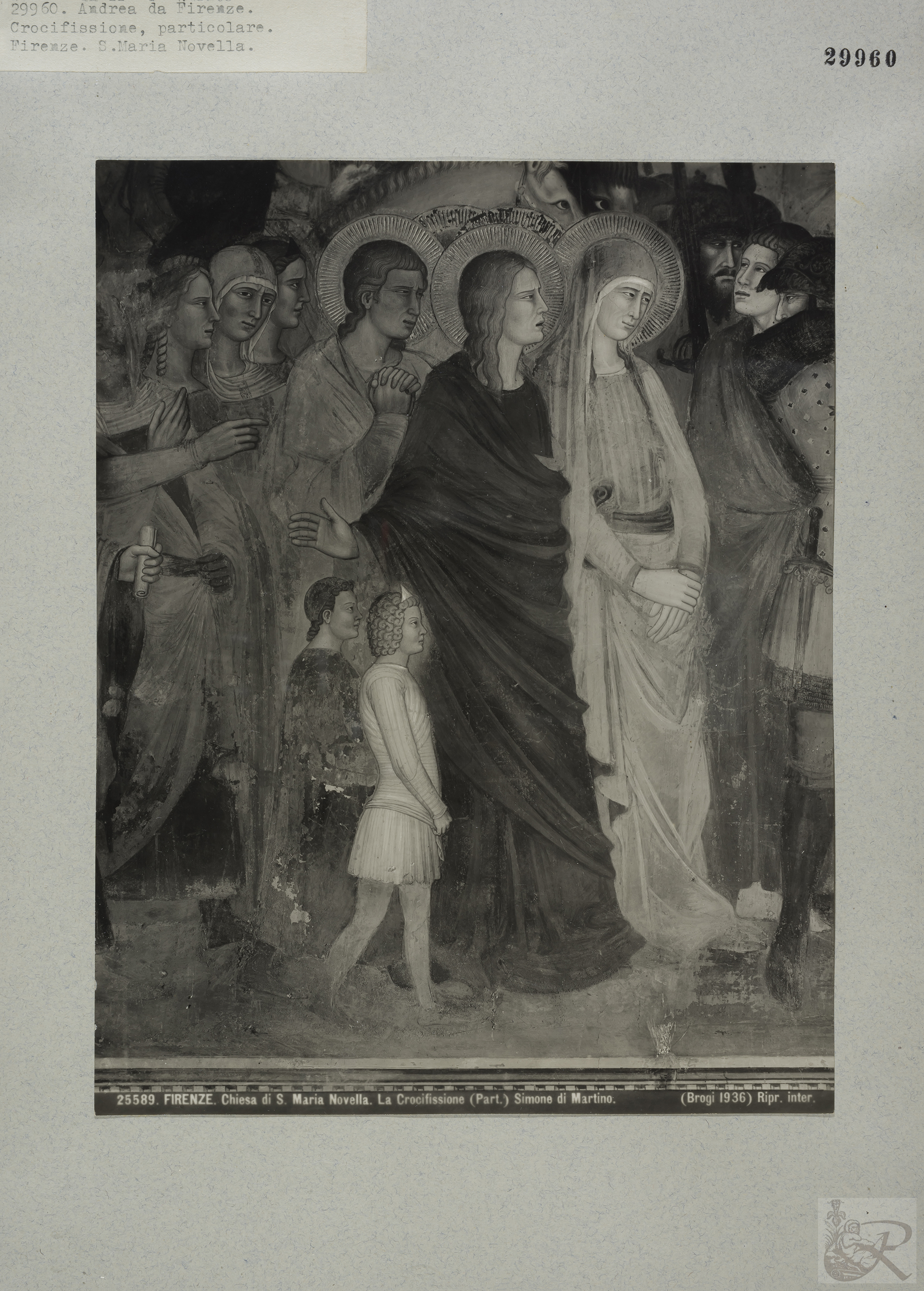 Immagine di anteprima