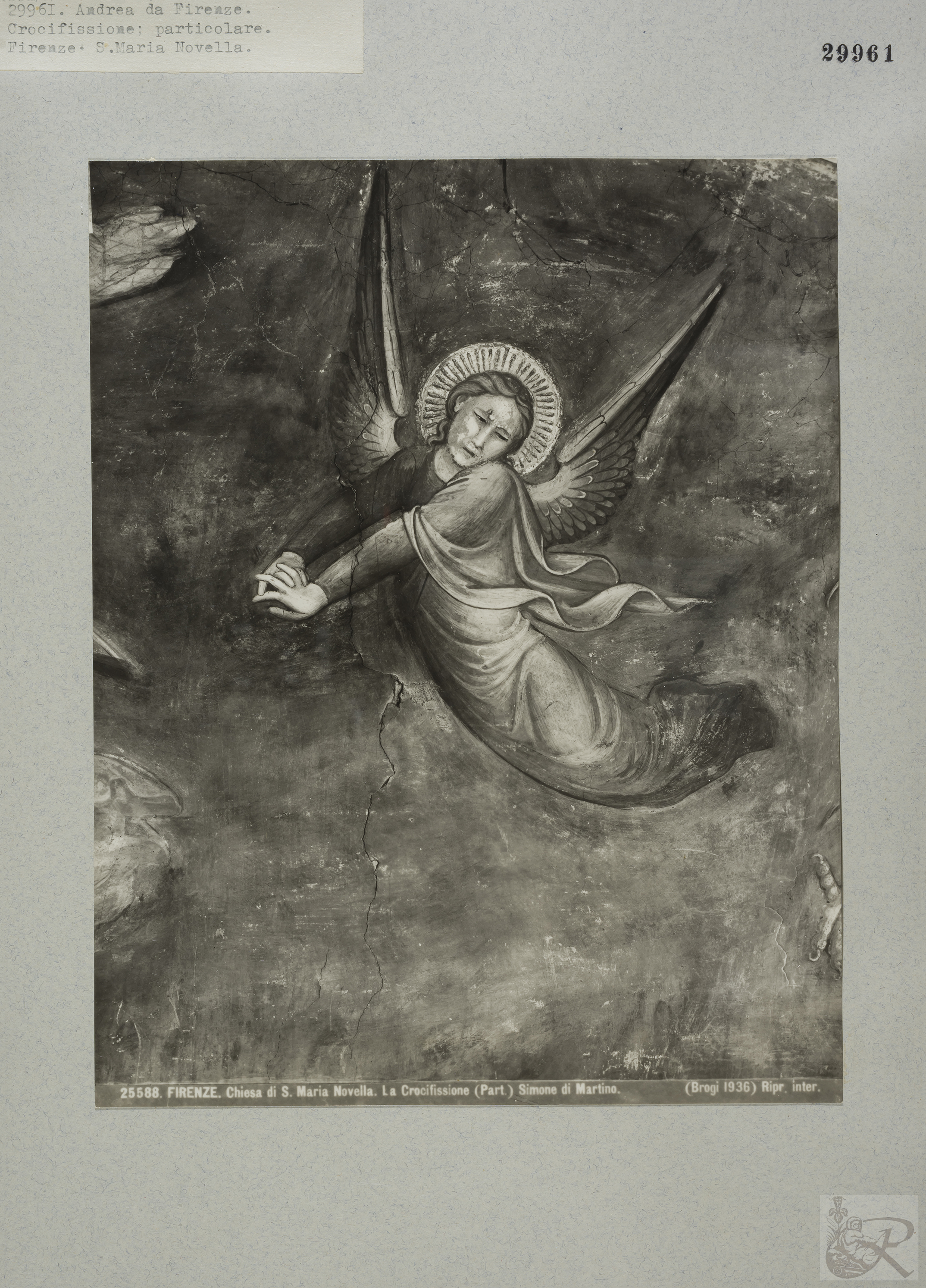 Immagine di anteprima