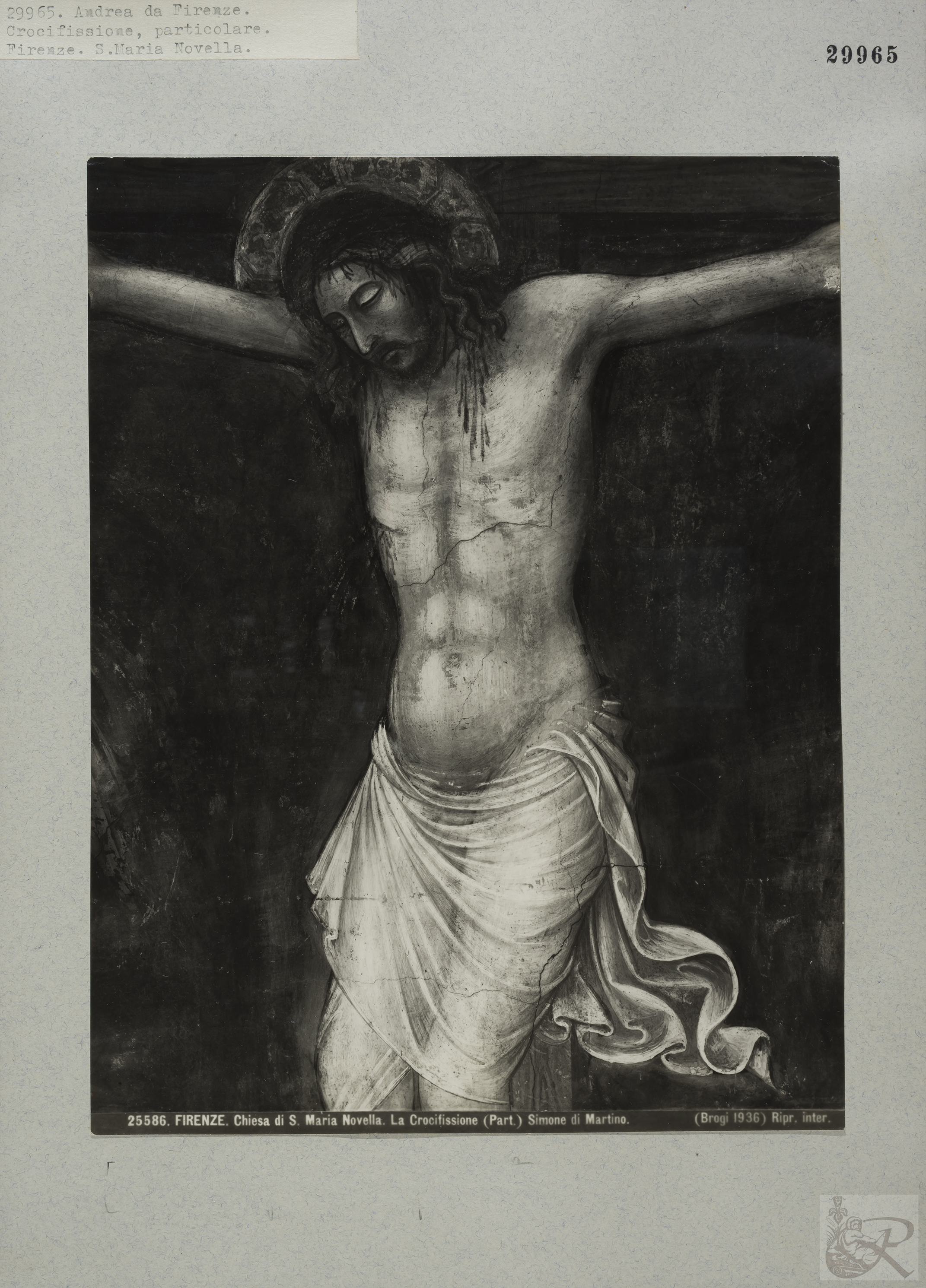 Immagine di anteprima