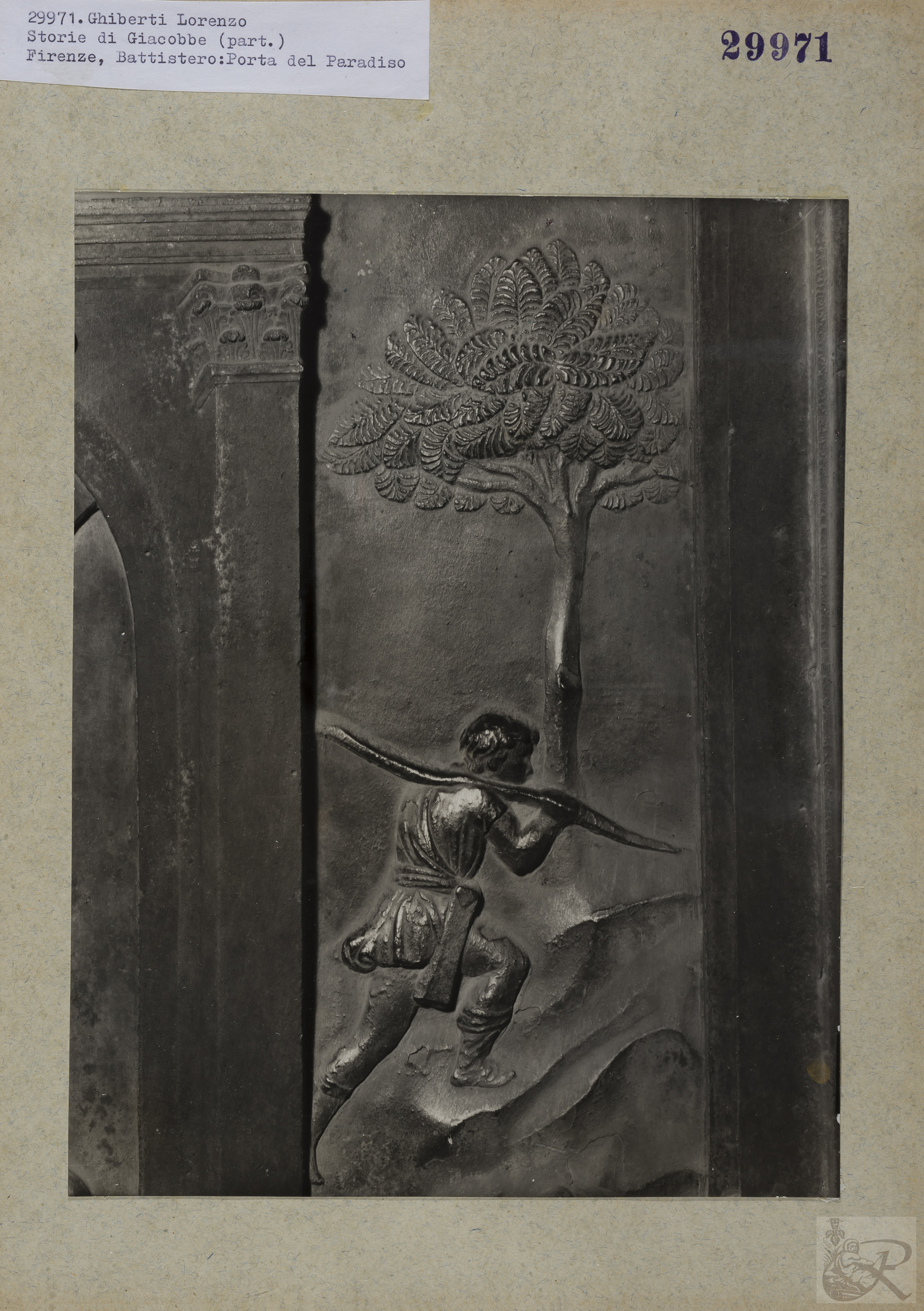 Immagine di anteprima