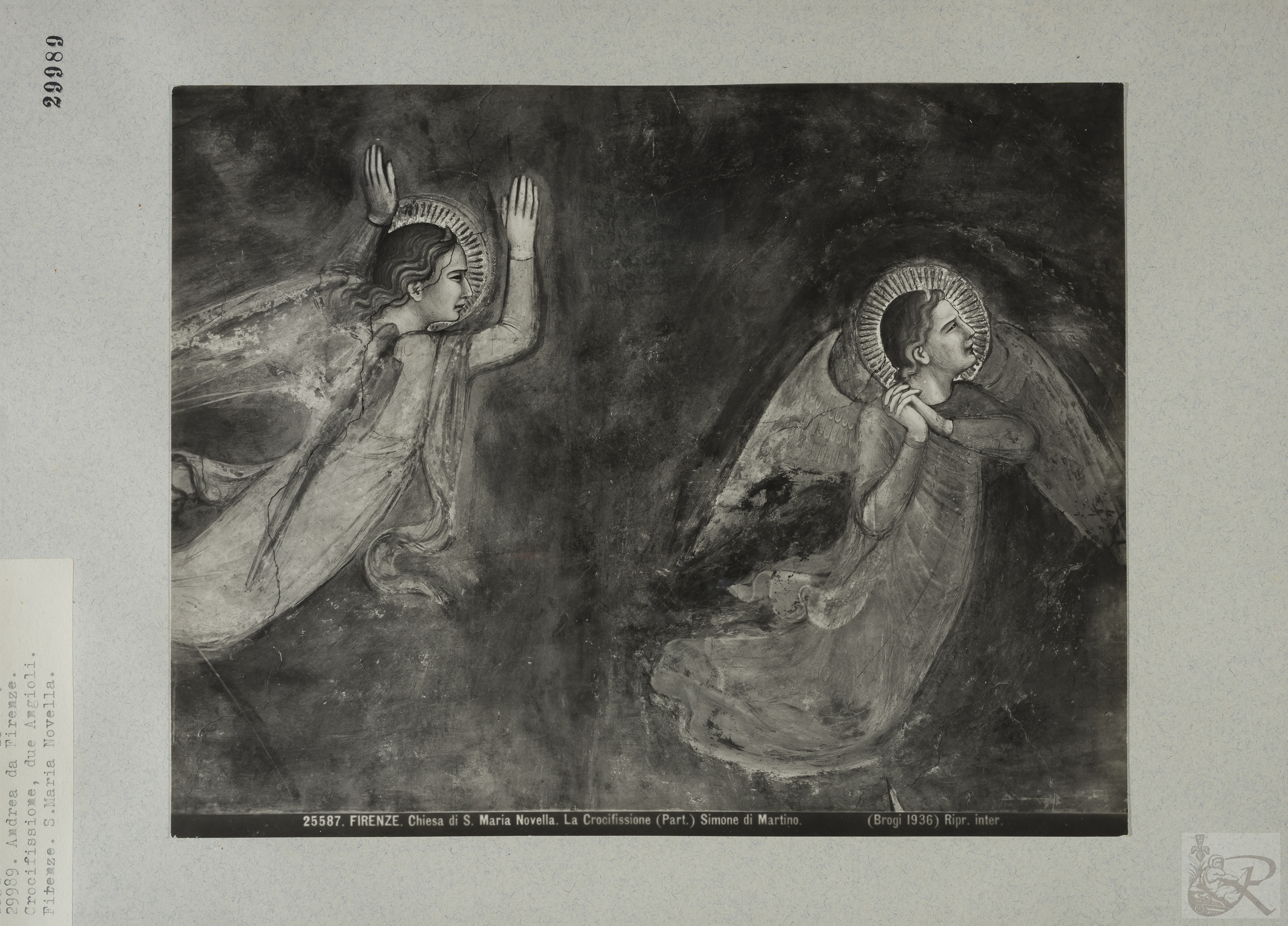 Immagine di anteprima