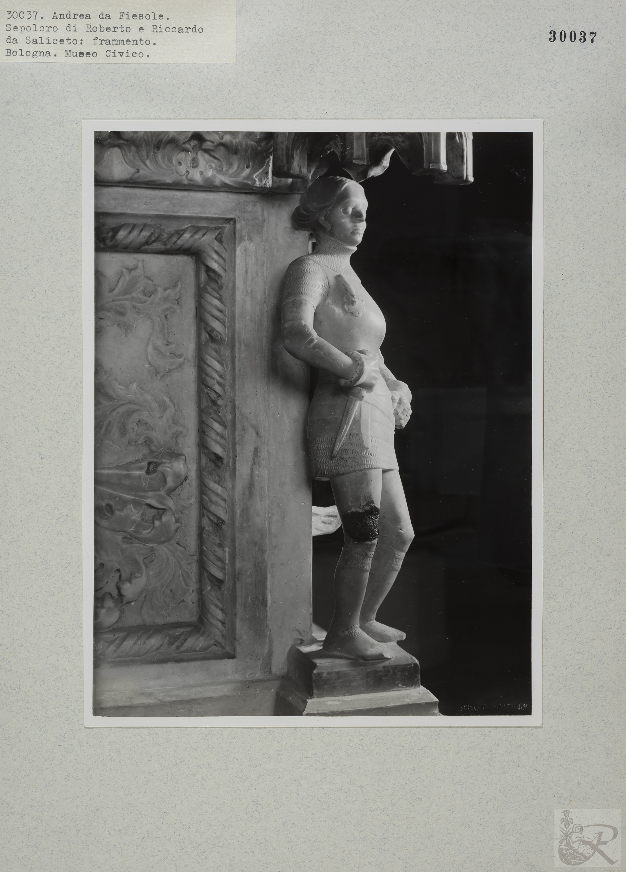 Immagine di anteprima