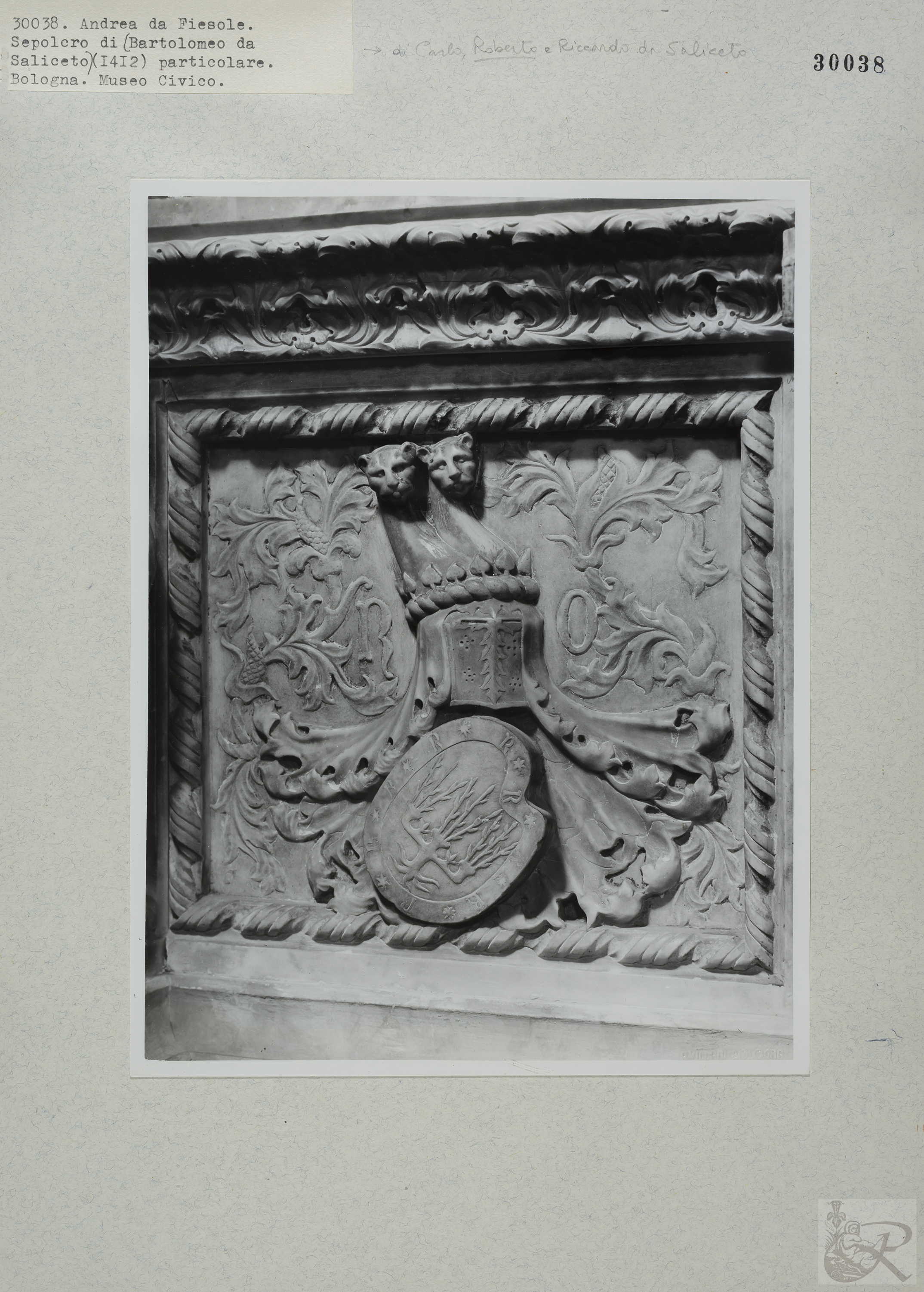 Immagine di anteprima