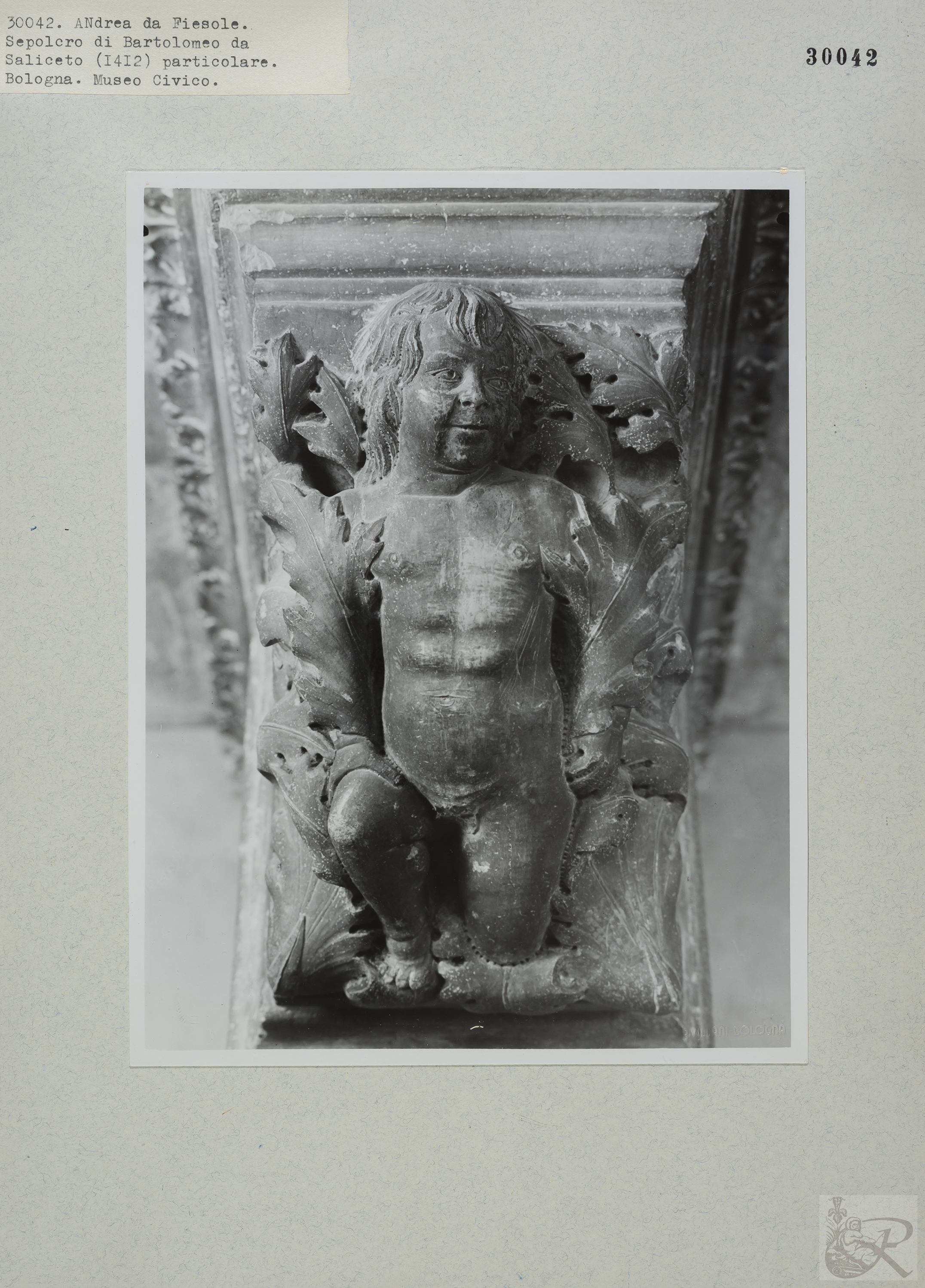 Immagine di anteprima