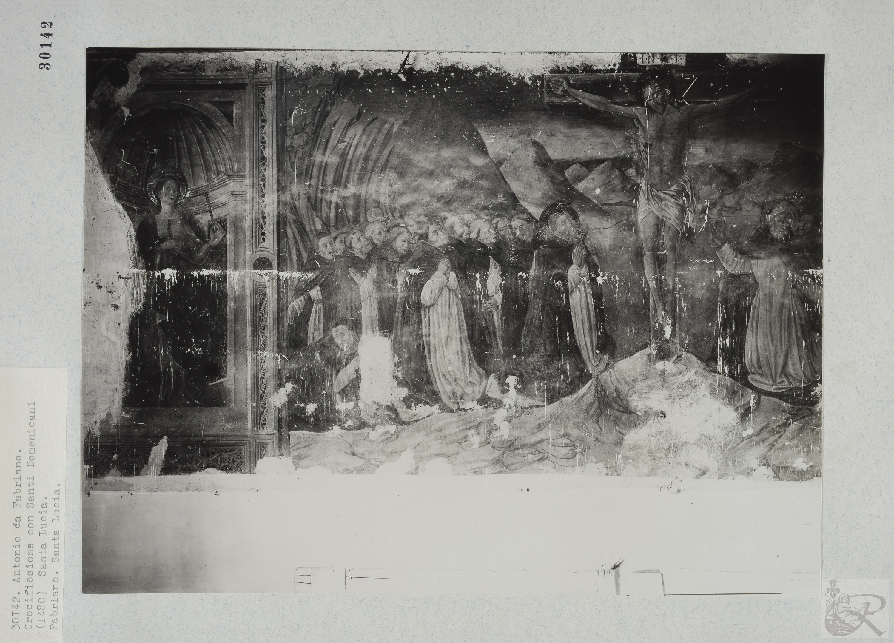 Immagine di anteprima