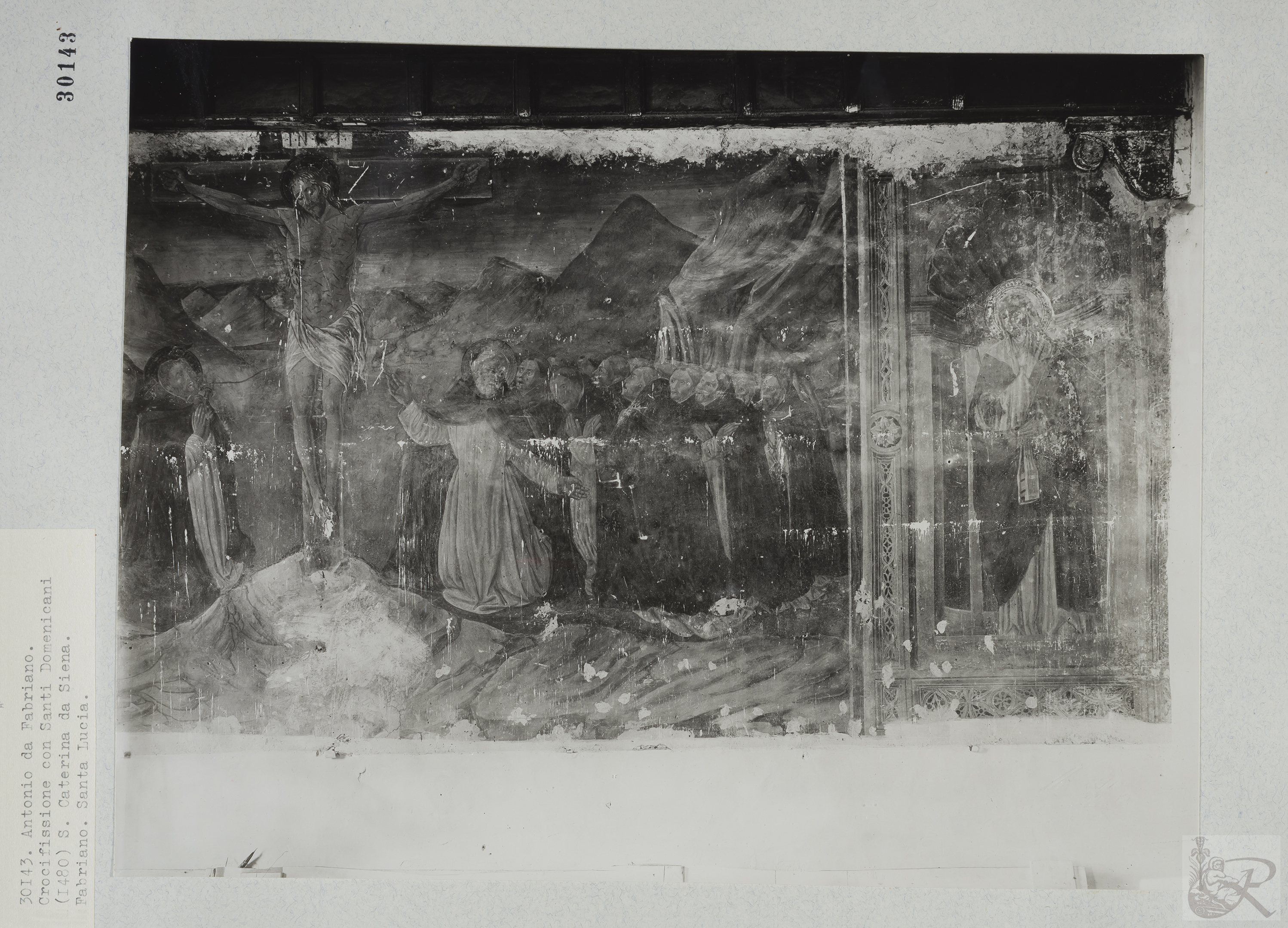 Immagine di anteprima