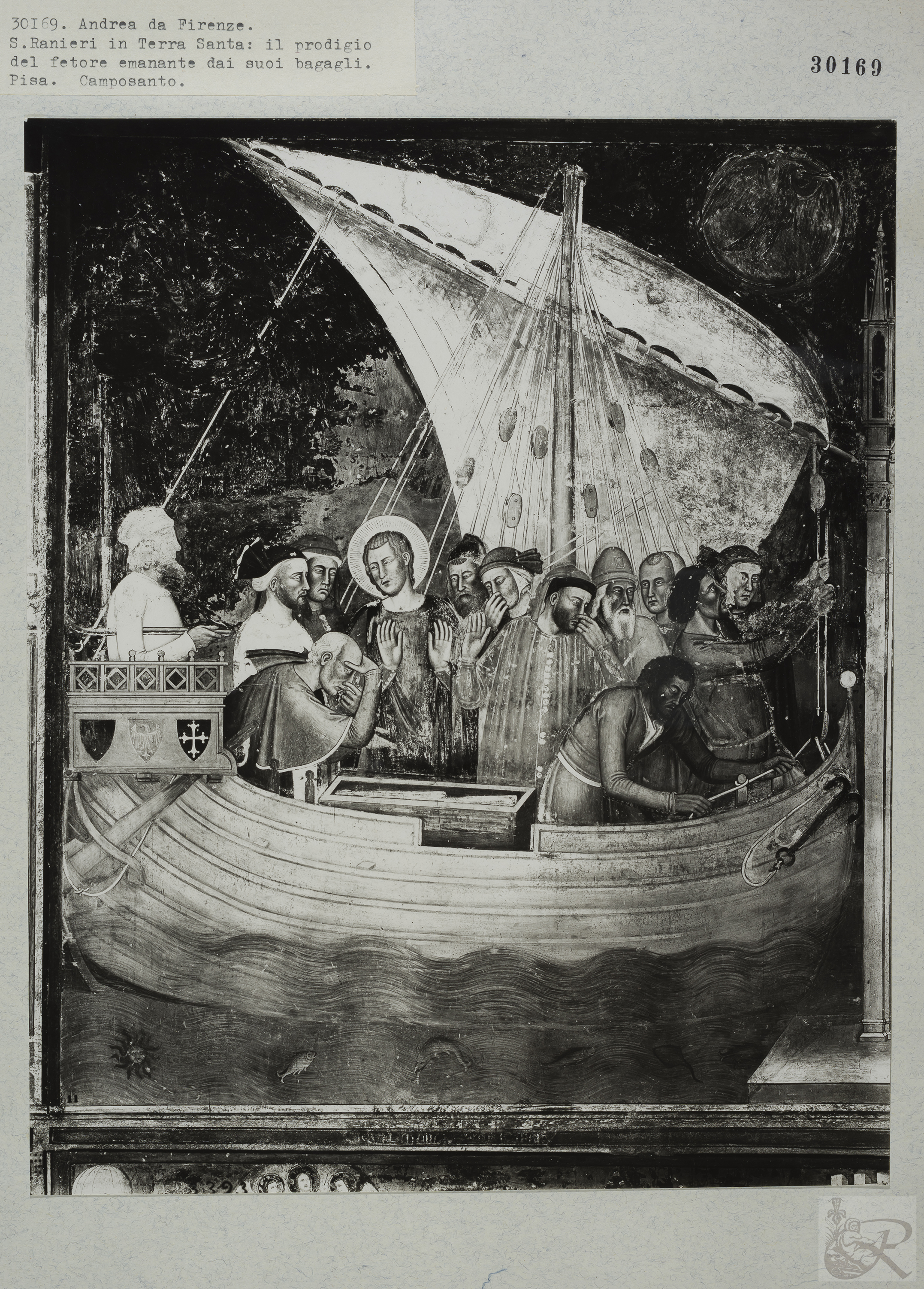 Immagine di anteprima